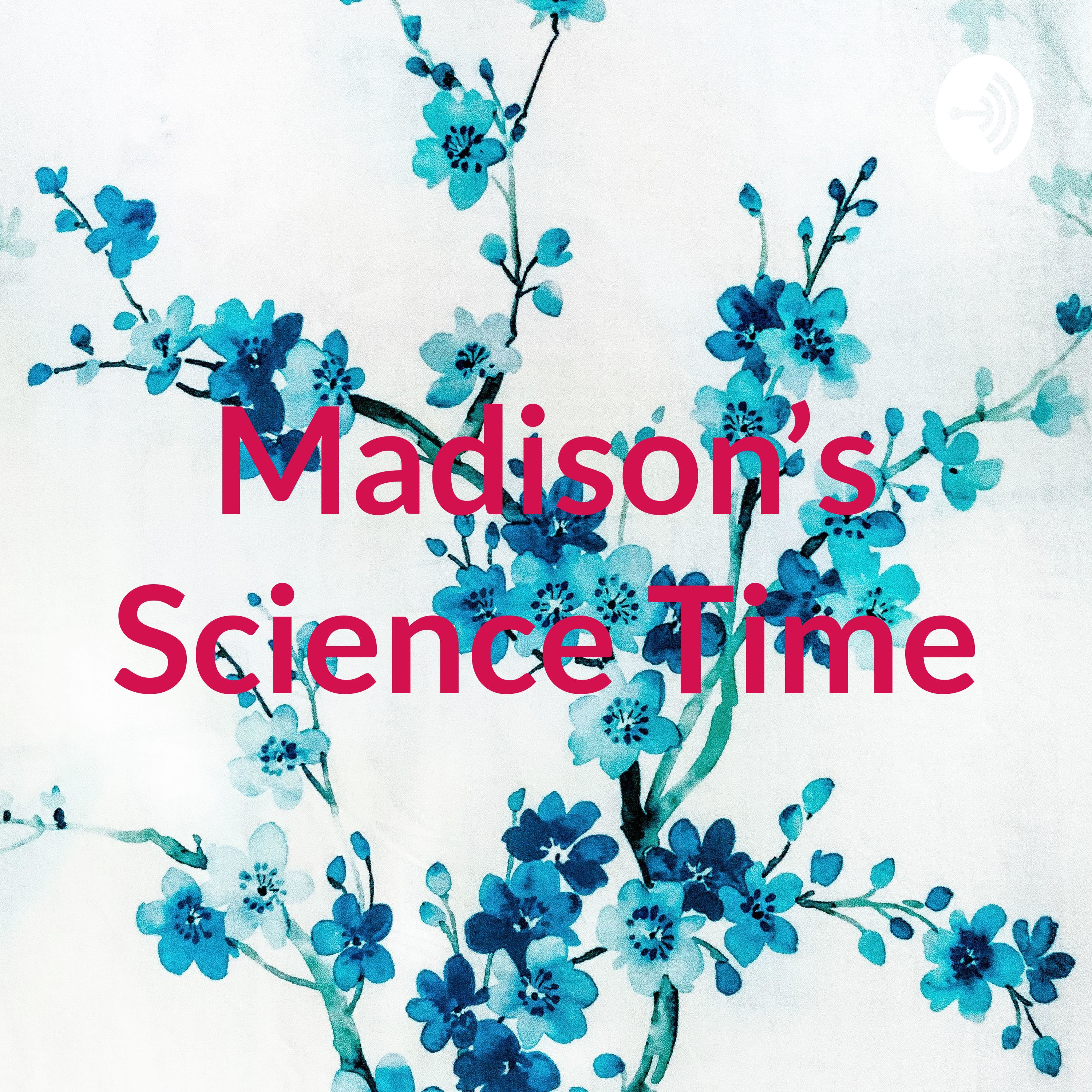 Madison's Science Time