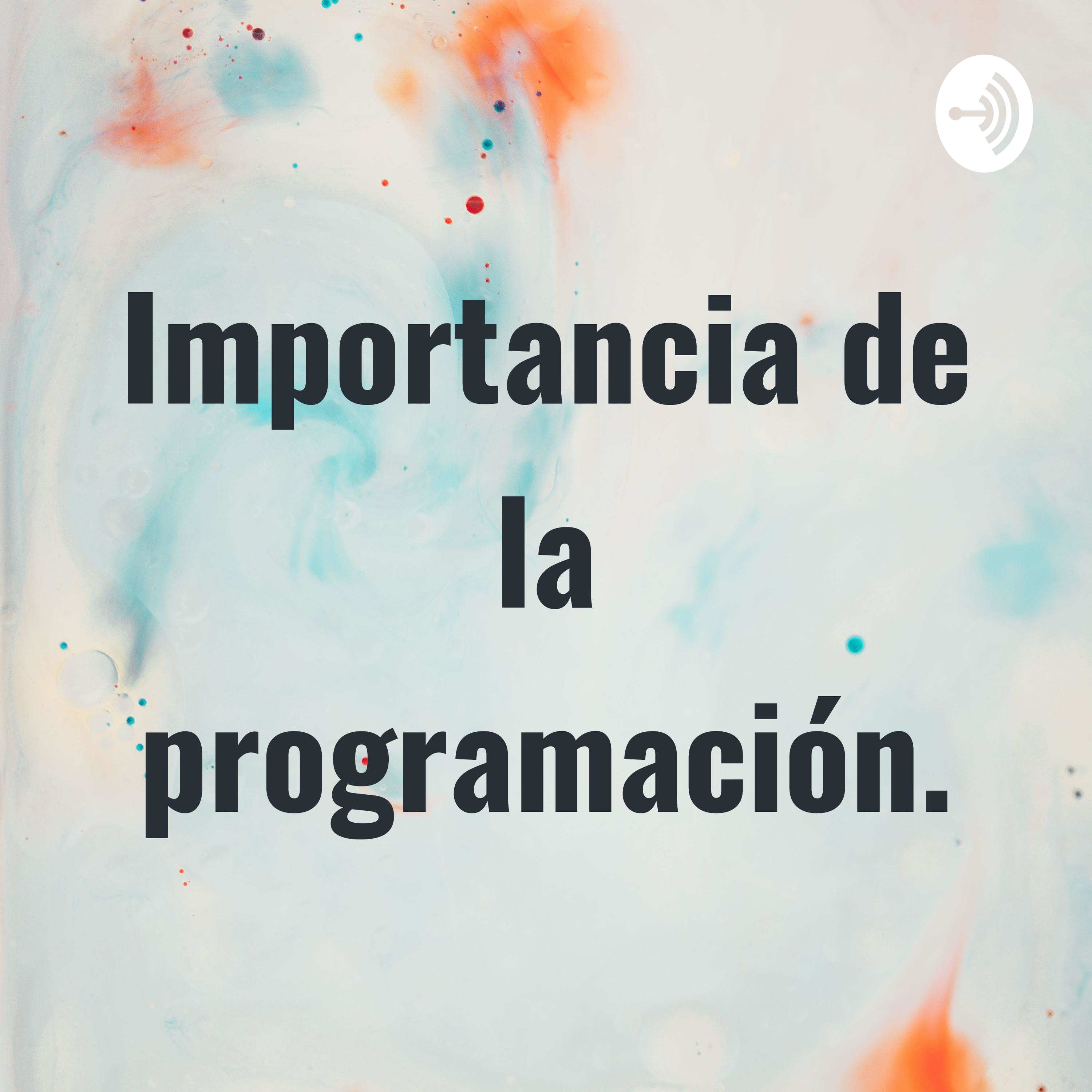 Importancia de la programación.