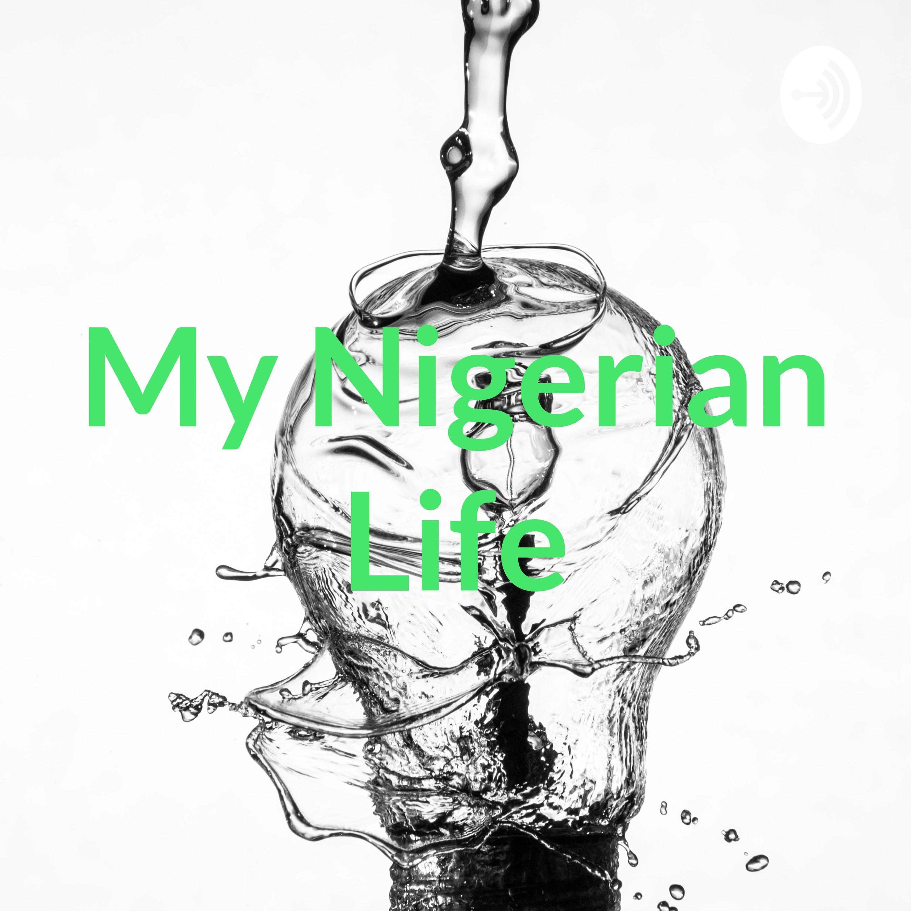 My Nigerian Life