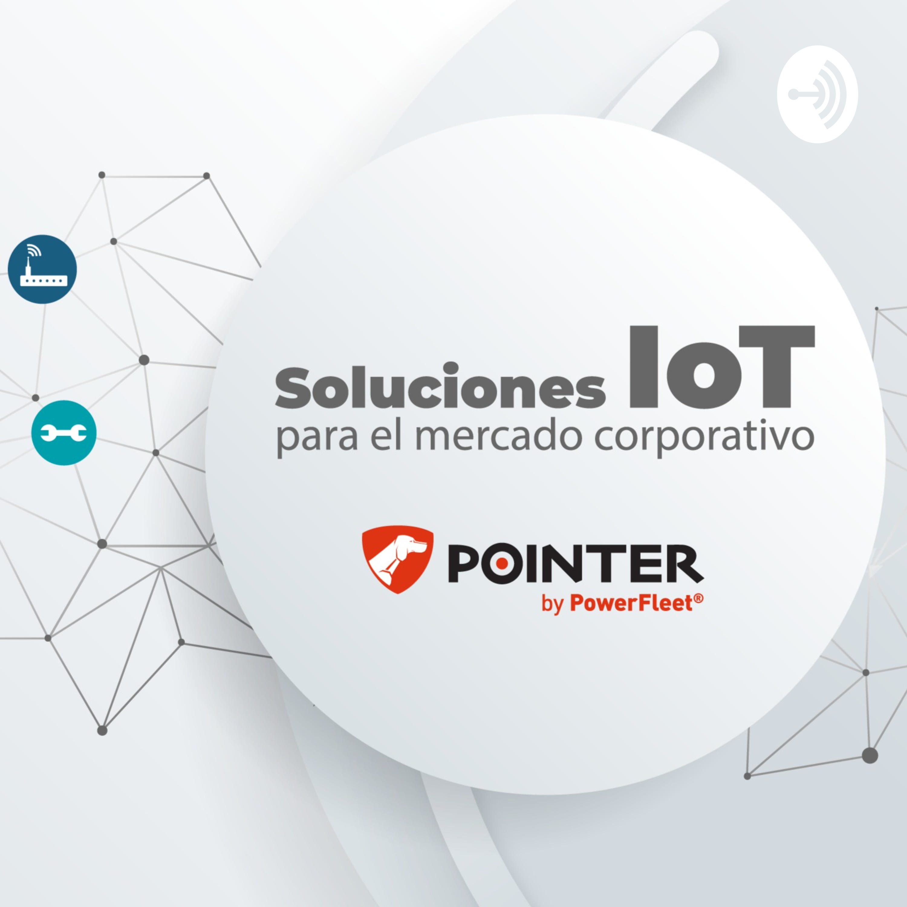 Pointer Argentina