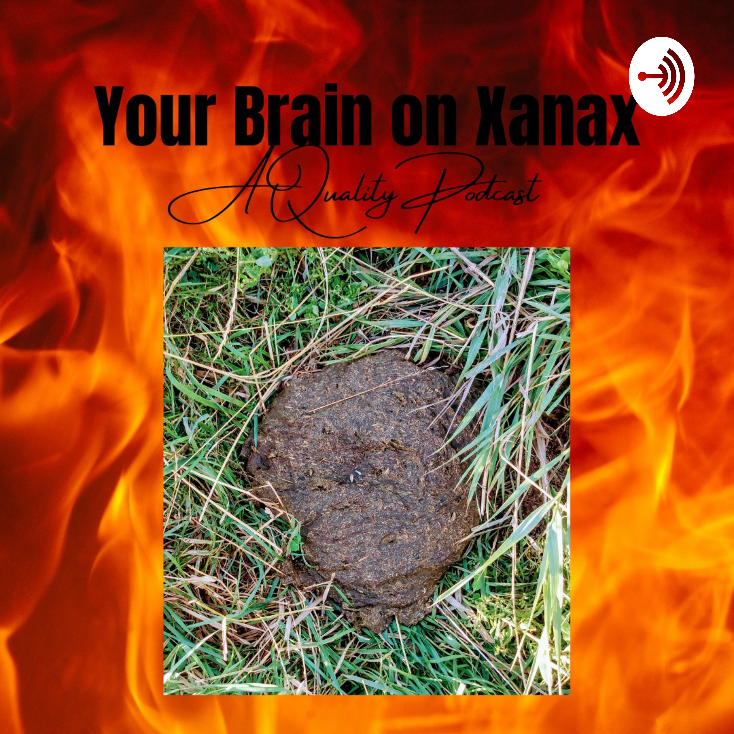 Your Brain on Xanax