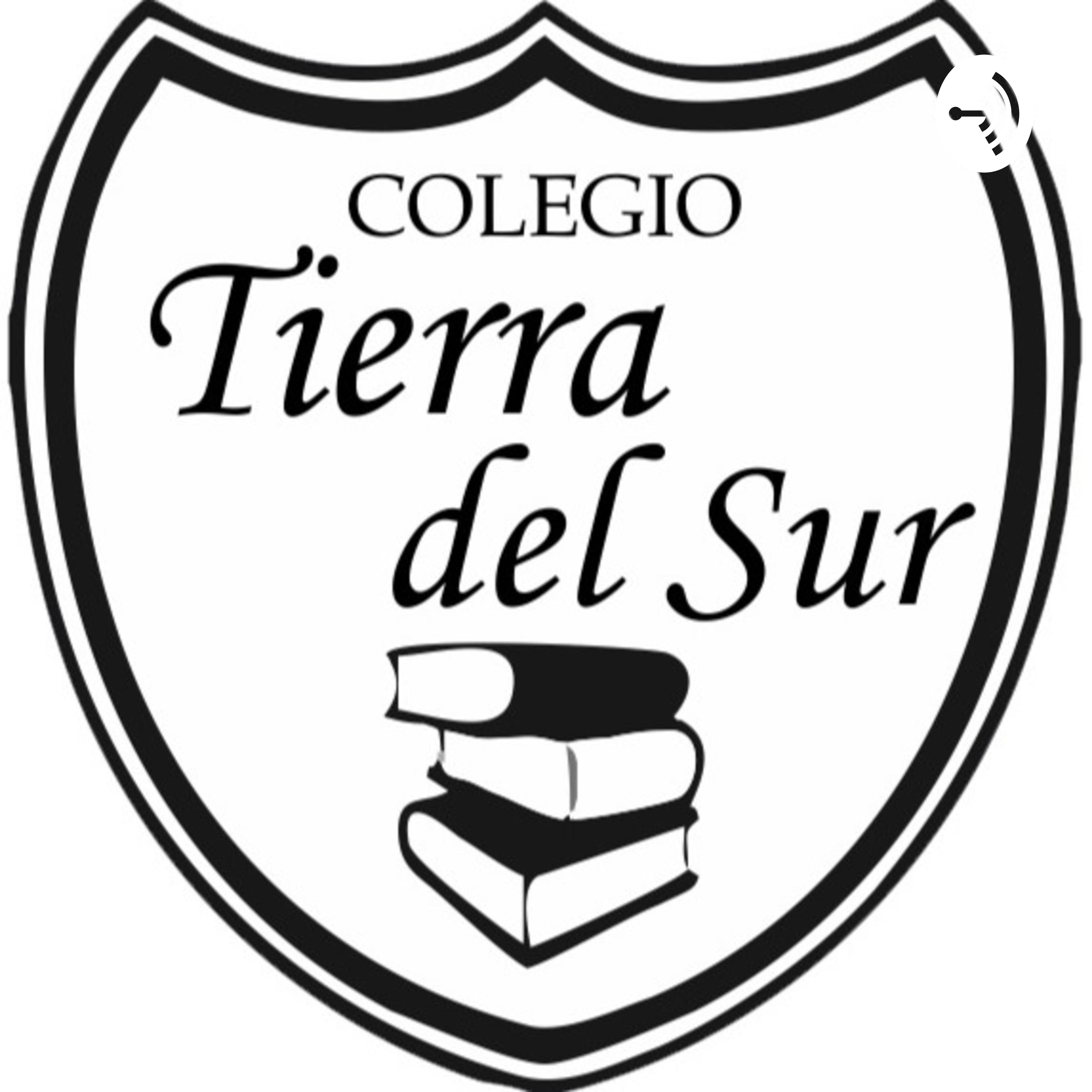 Diez loros desde casa