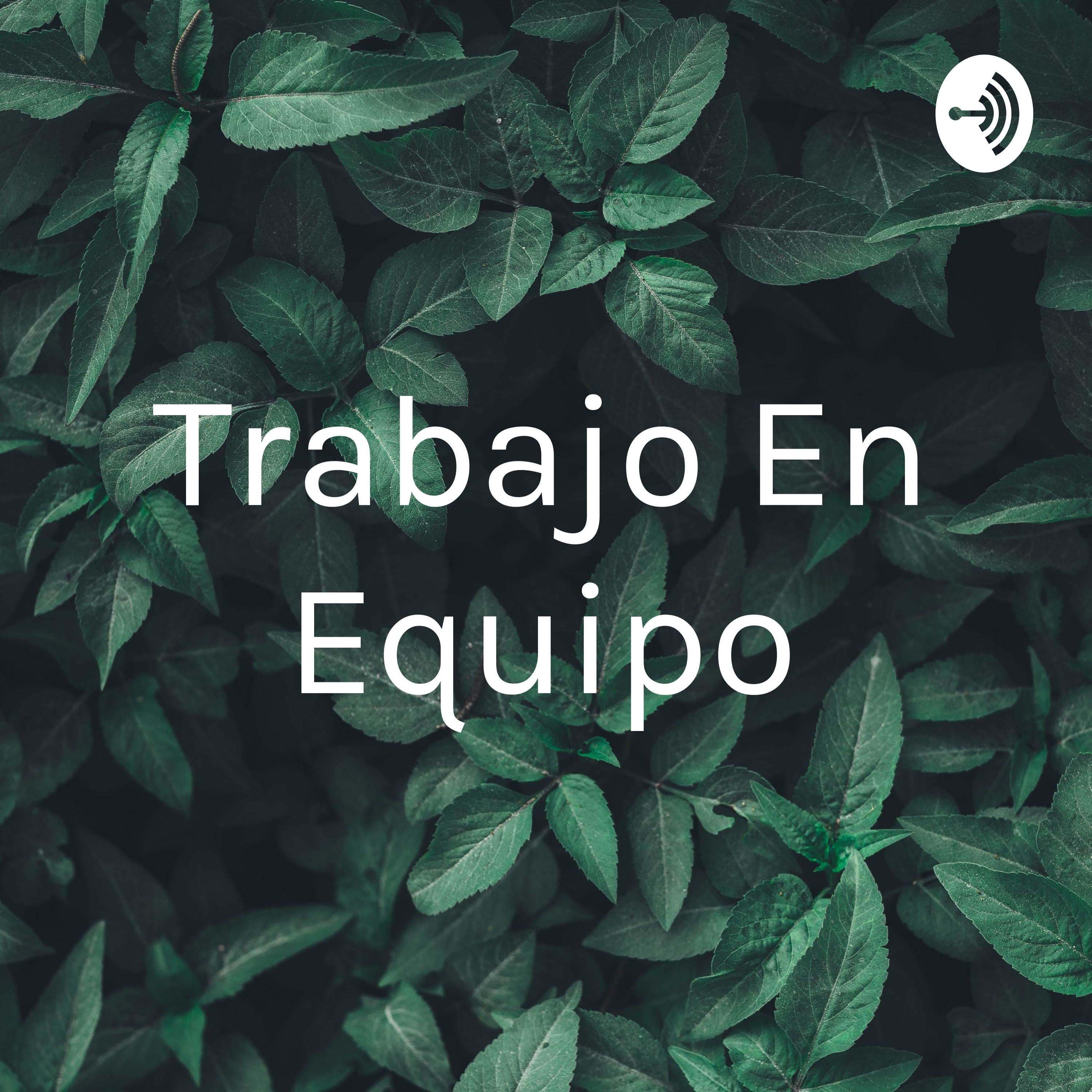 Trabajo En Equipo