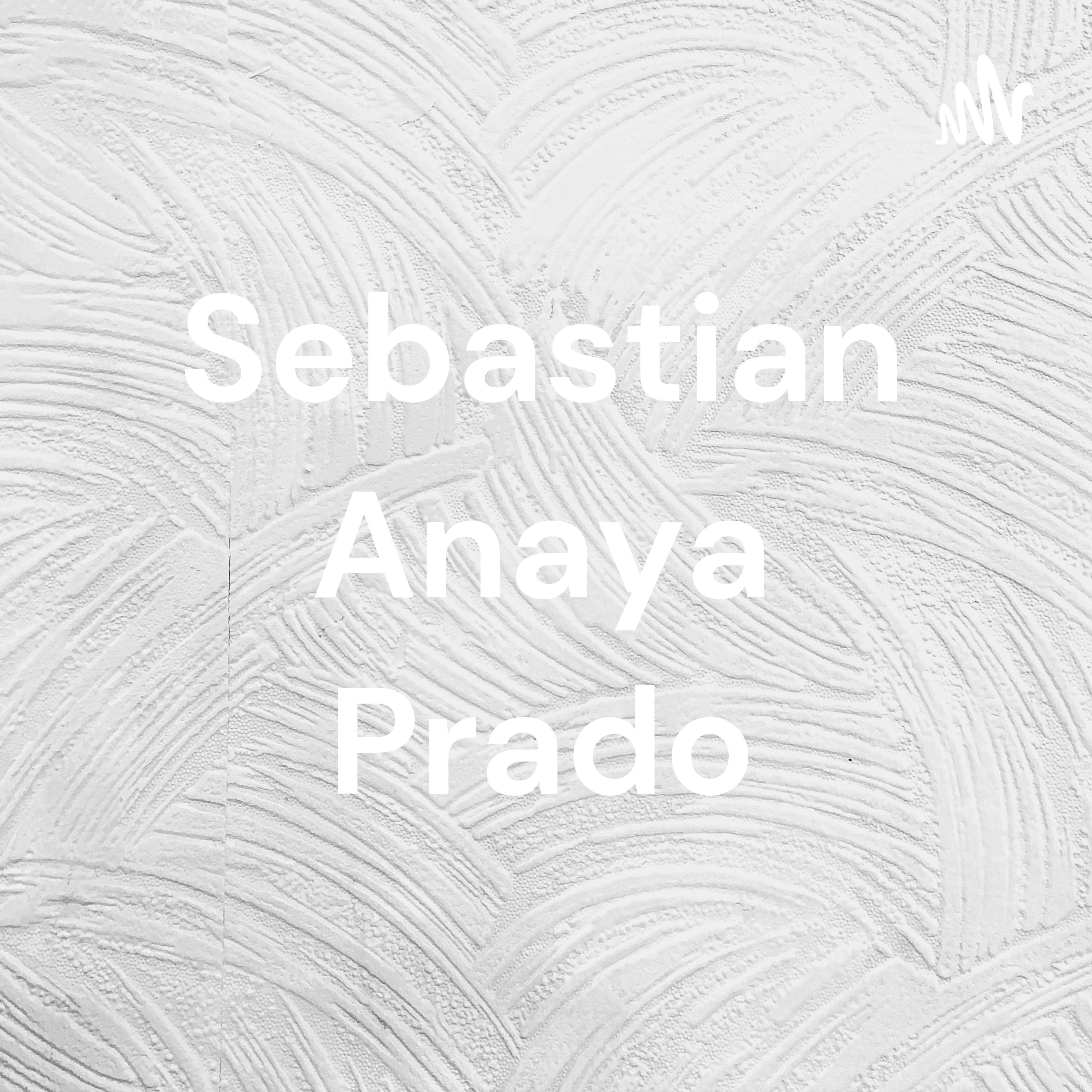 Sebastian Anaya Prado
