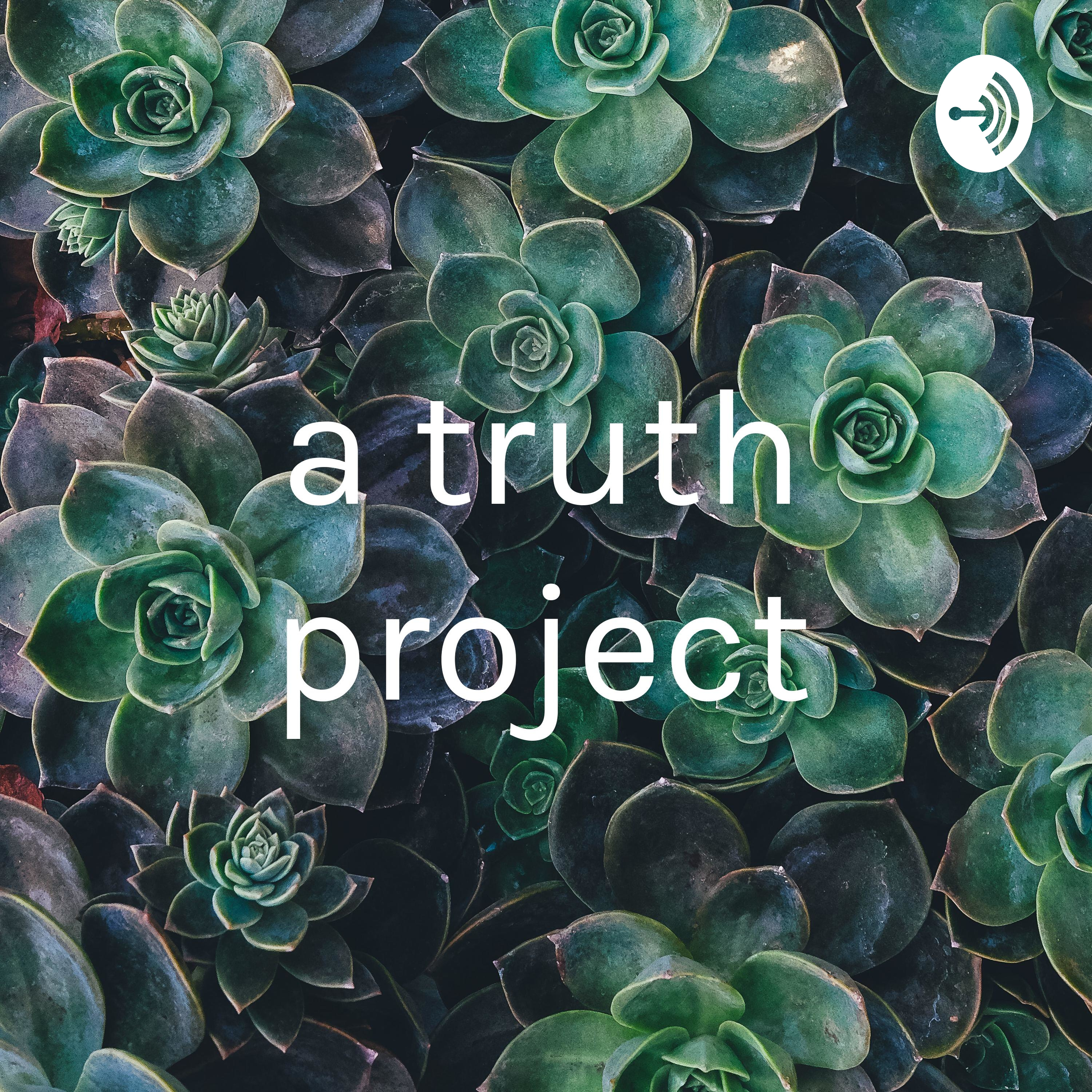 a truth project