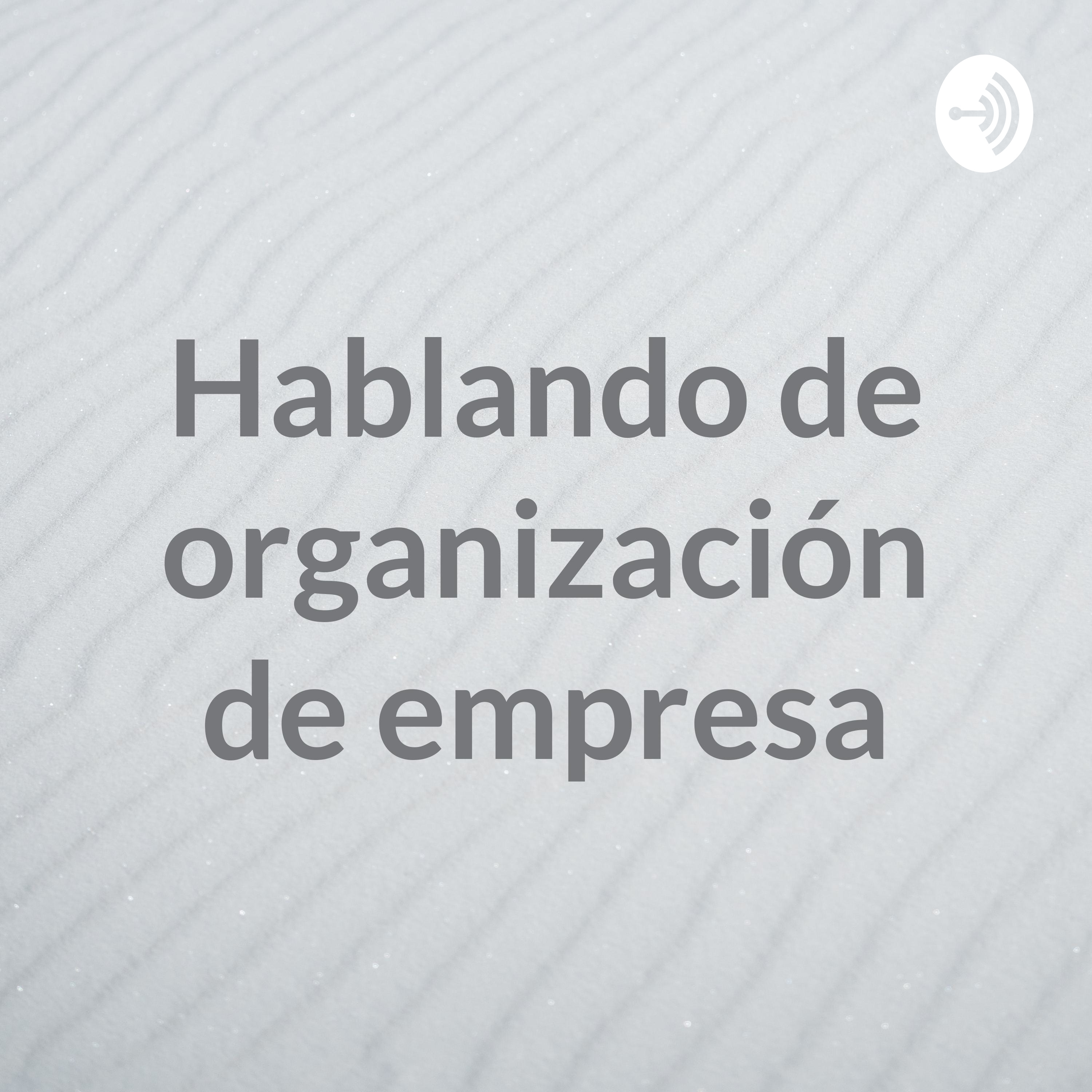 Hablando de organización de empresa