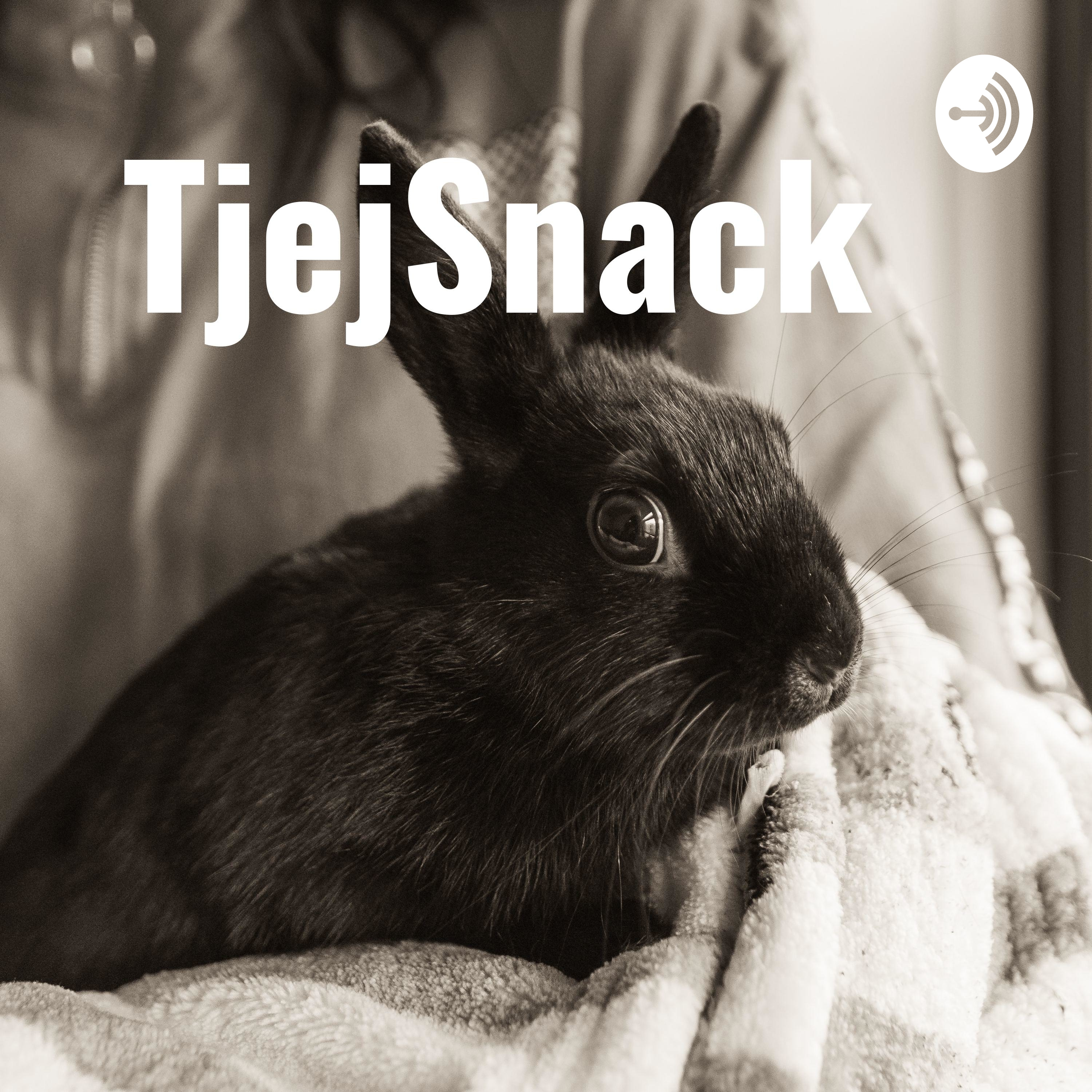 TjejSnack 
