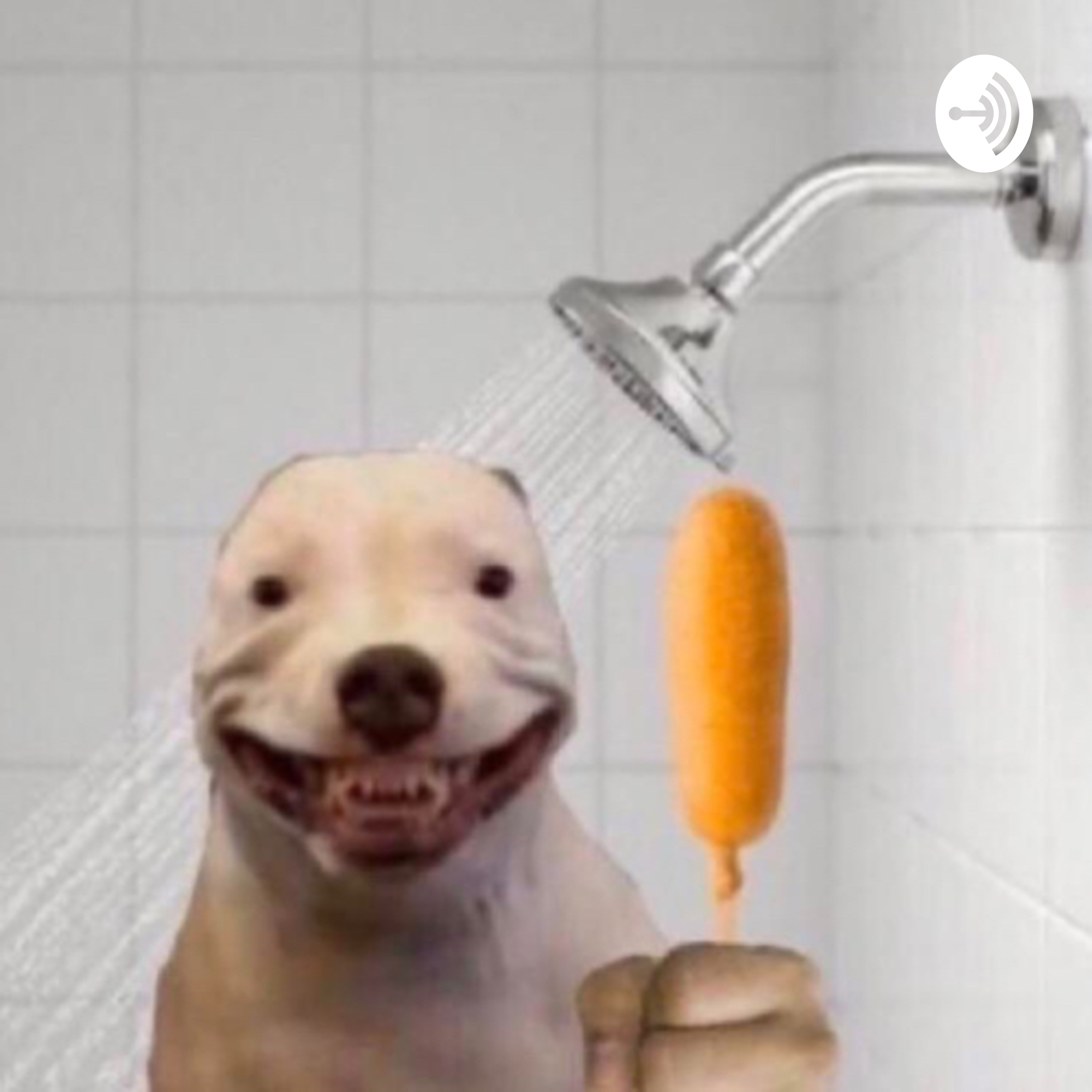 Aizaxaraa 
