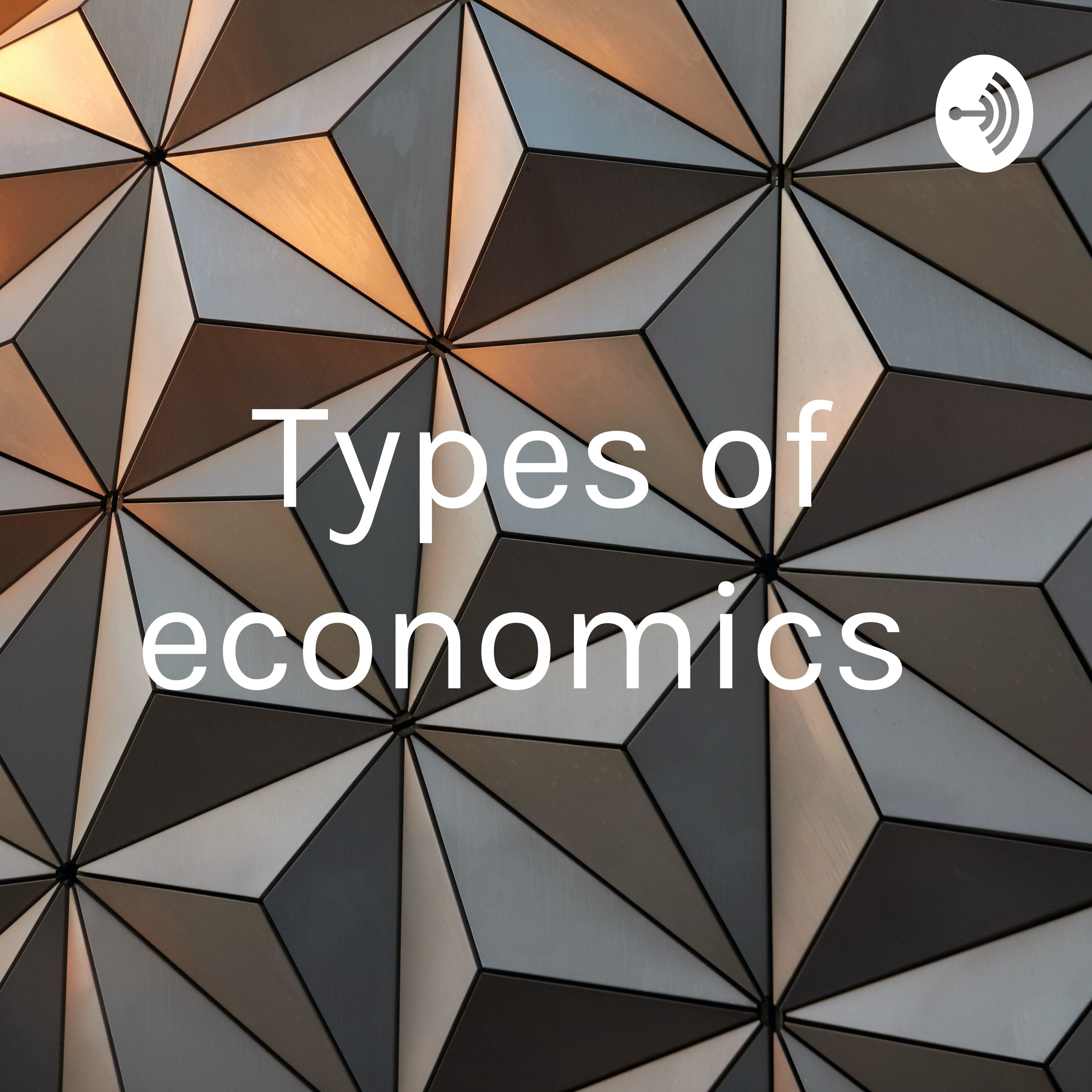 Types of economics 