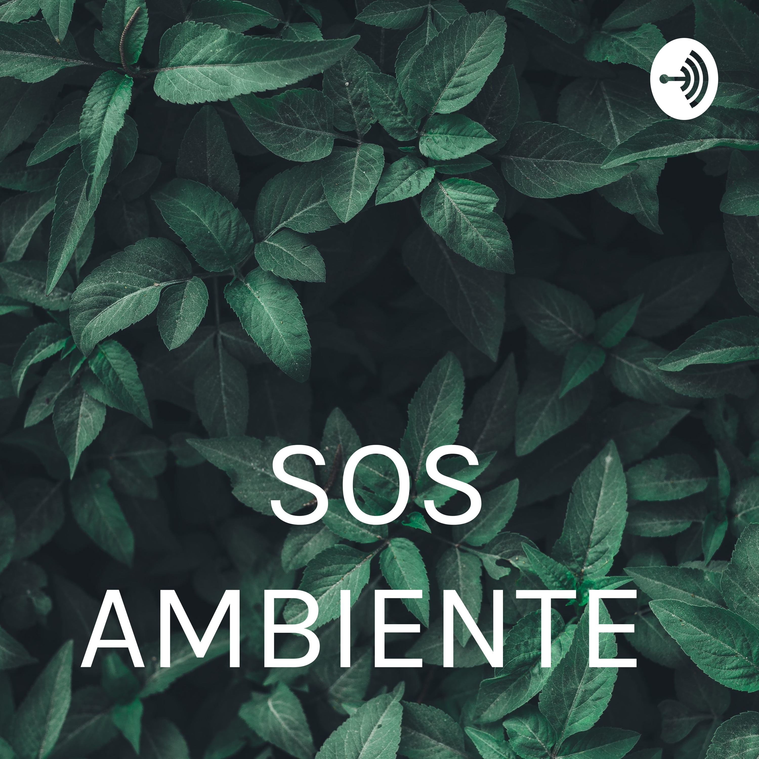 SOS AMBIENTE