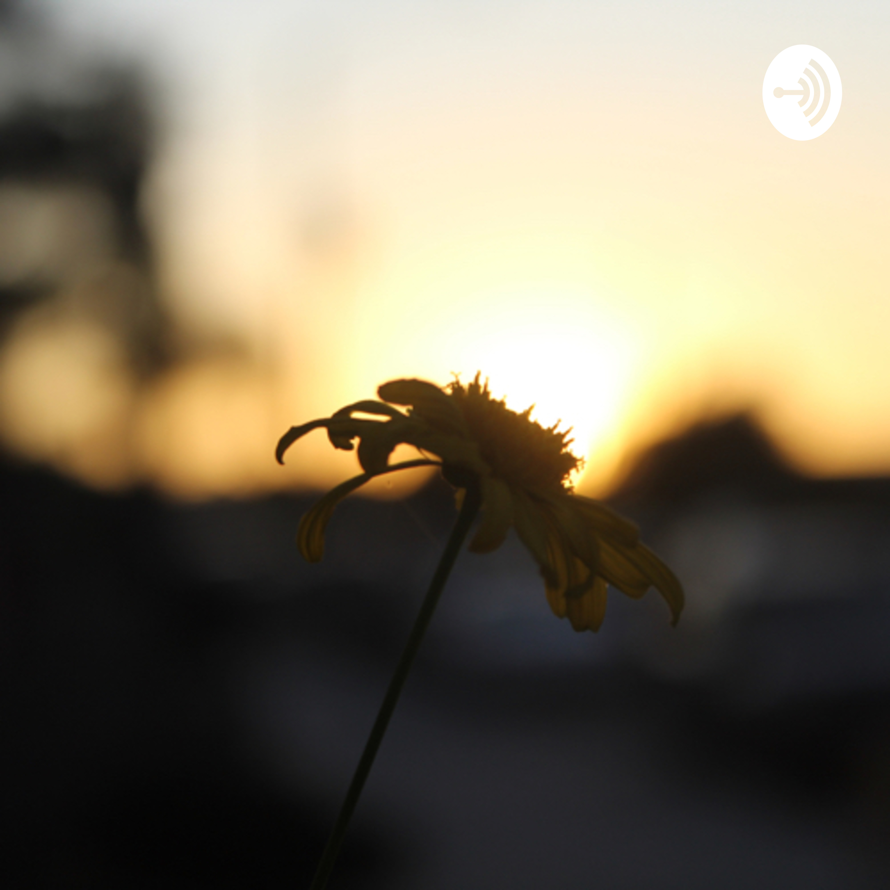 In the Mind of Big Lumpia cover art