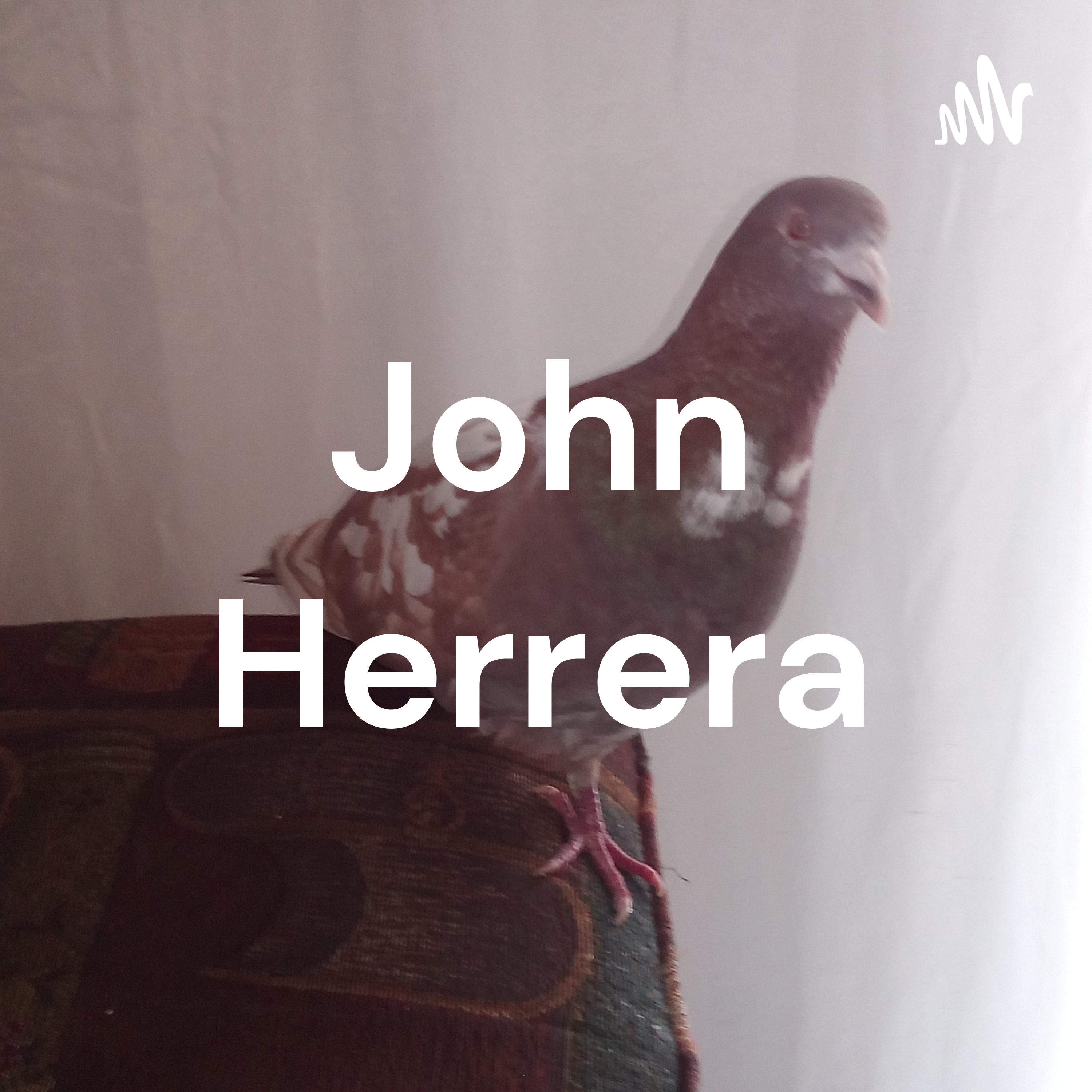 John Herrera cover art