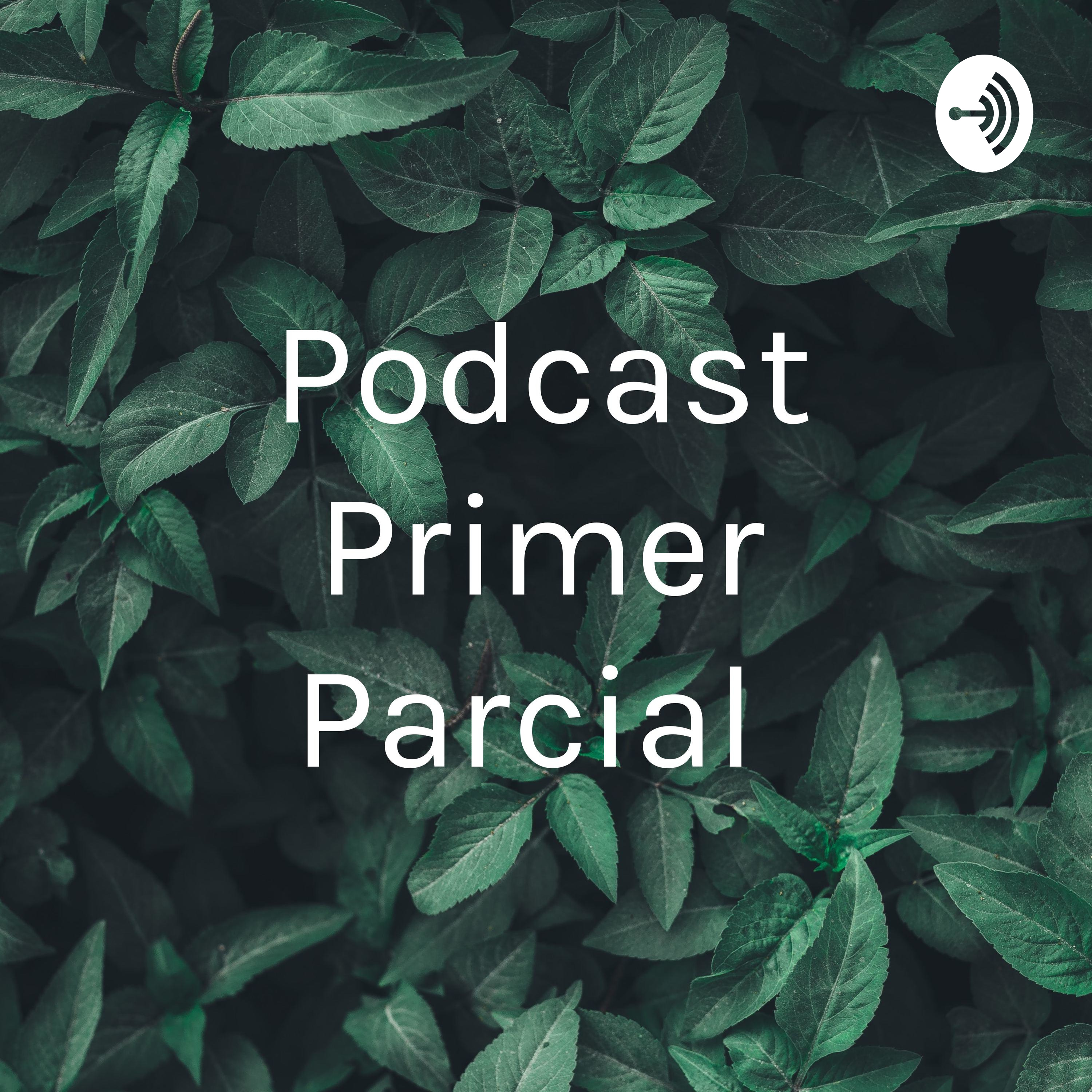 Podcast Primer Parcial 
