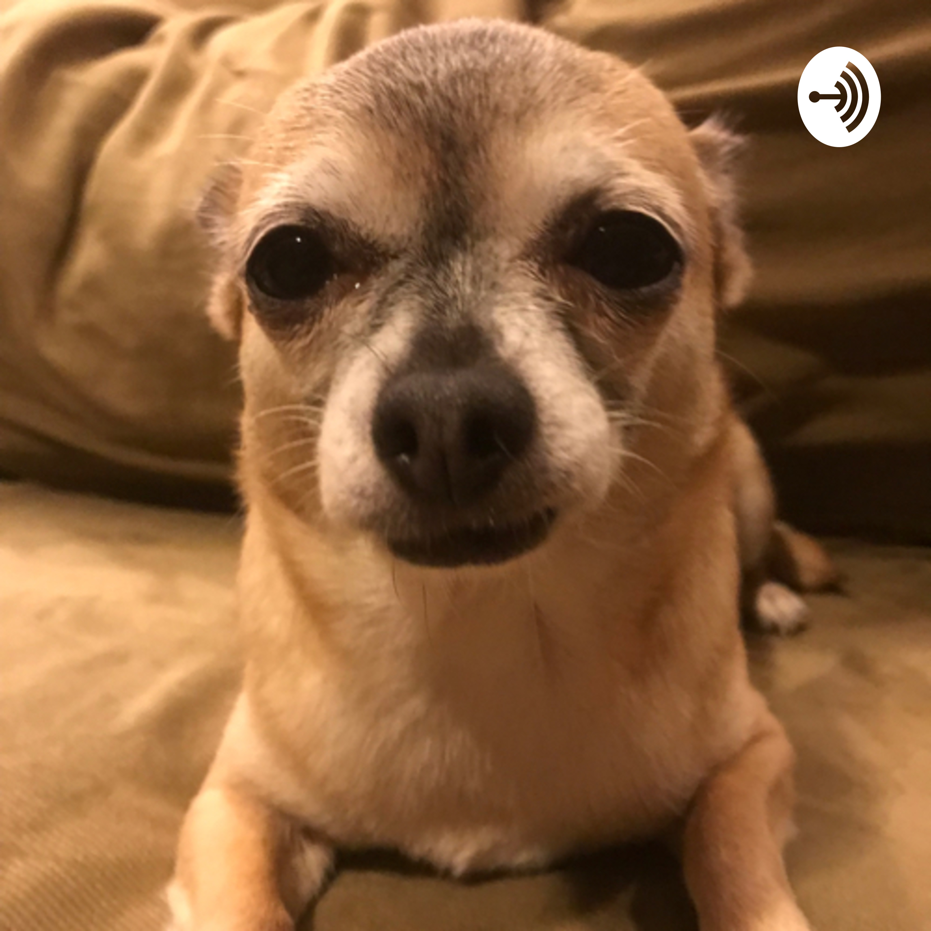 Technology Podcast