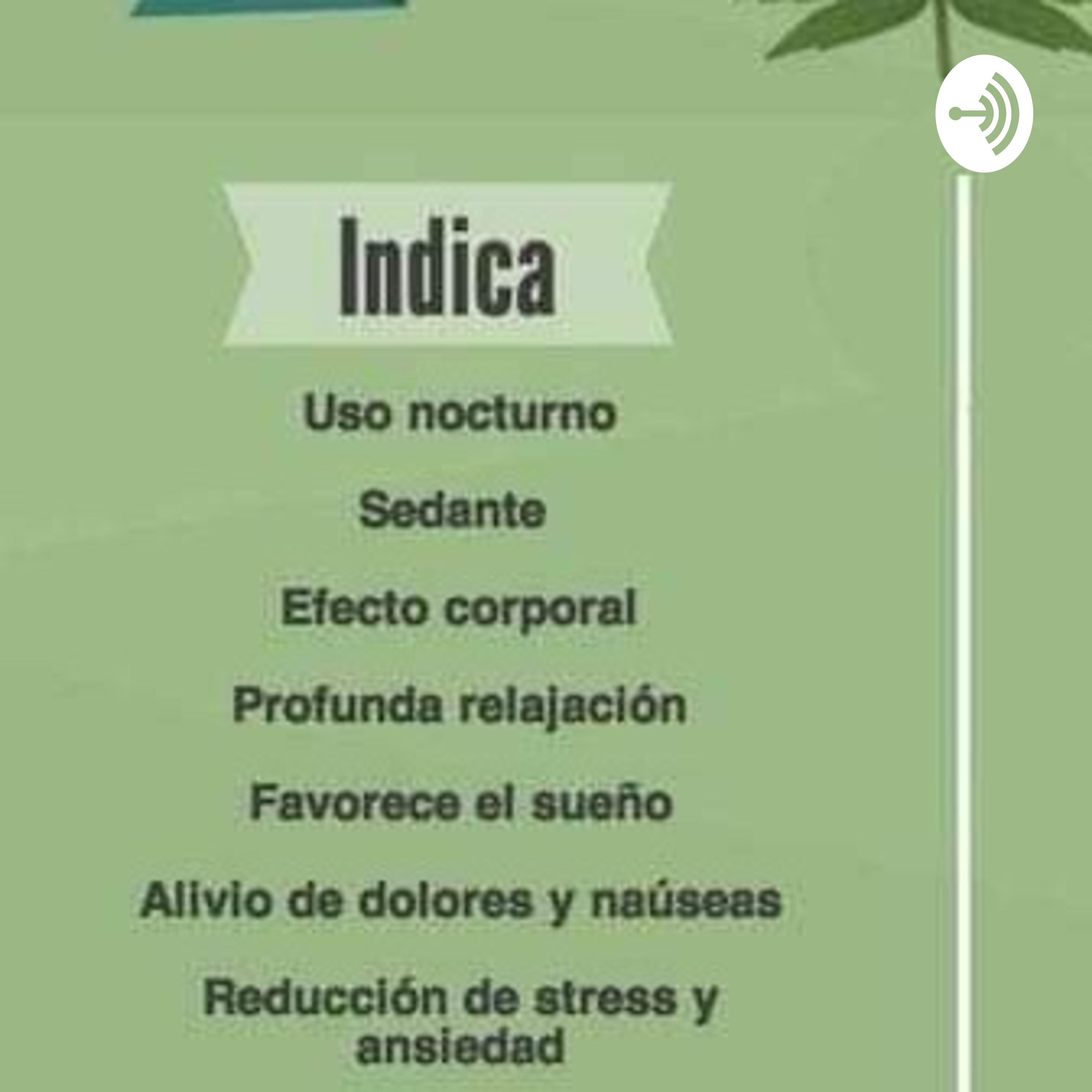Ia INDICAda podcast artwork