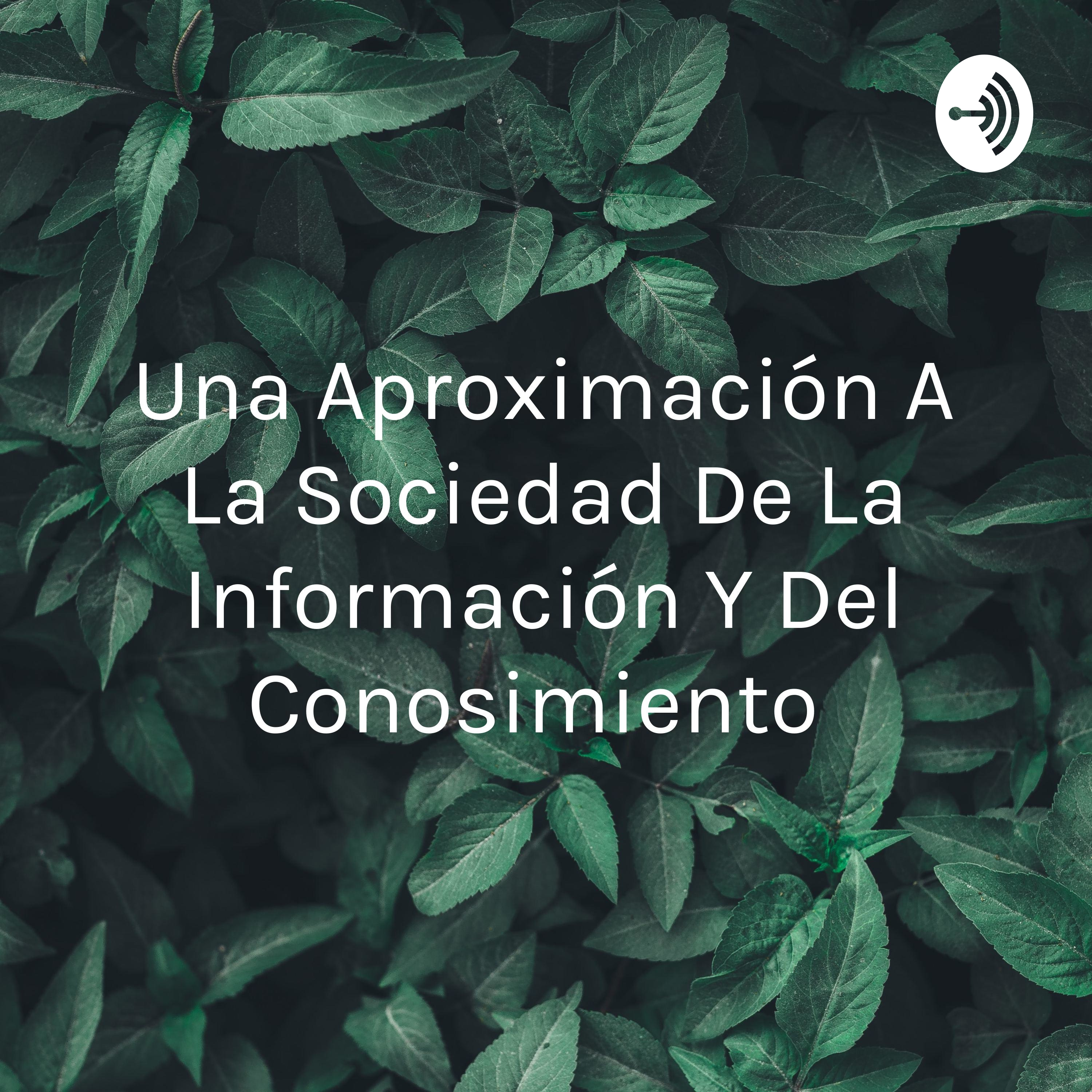 Una Aproximación A La Sociedad De La Información Y Del Conosimiento 
