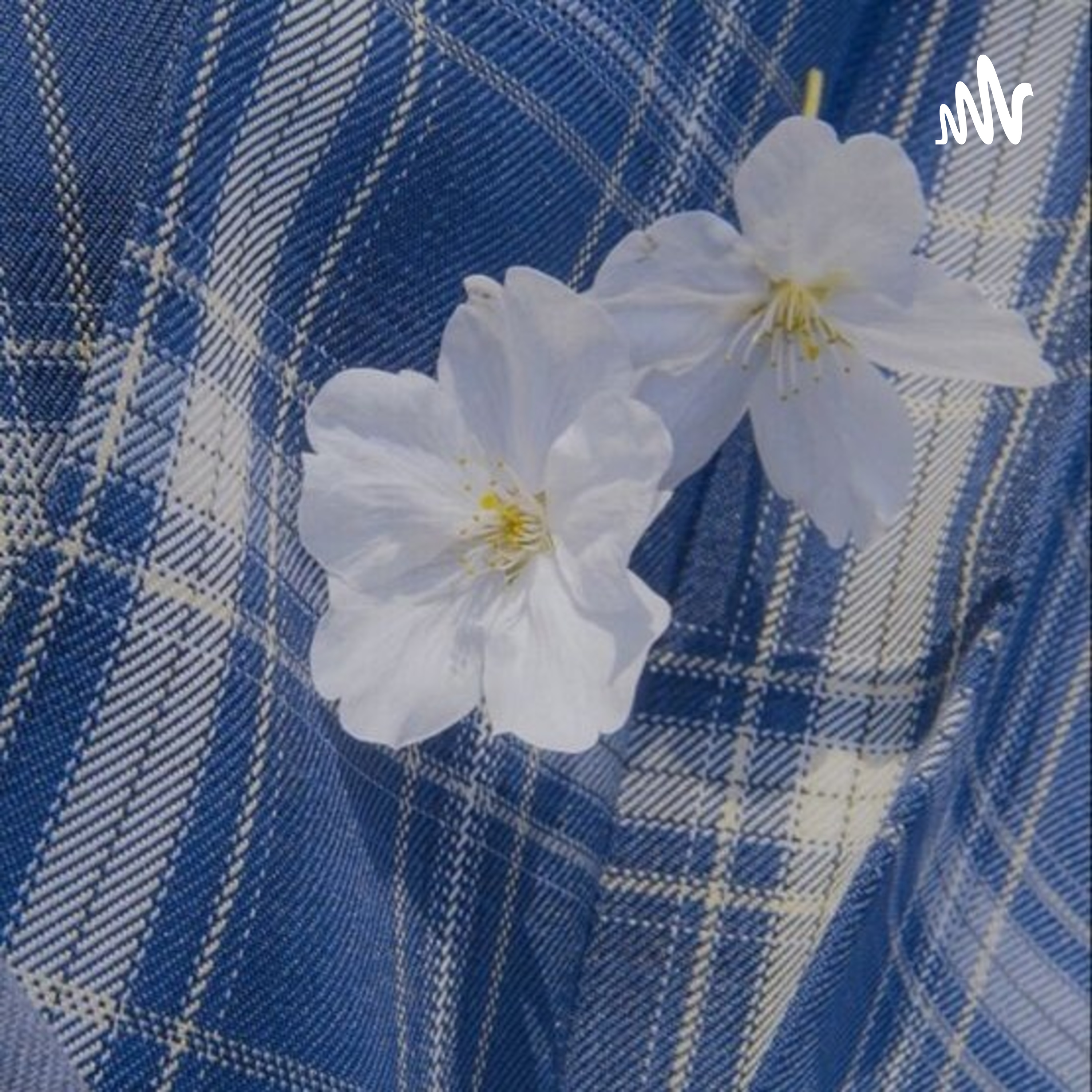 Aliya Habiba cover art