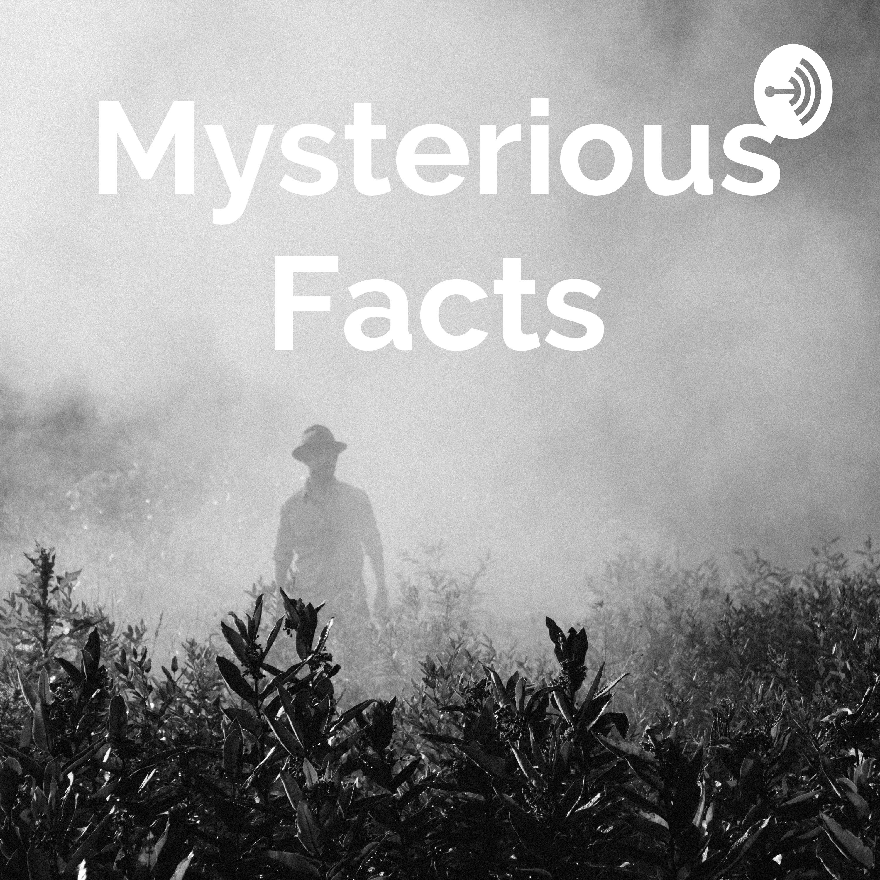 Mysterious Nights