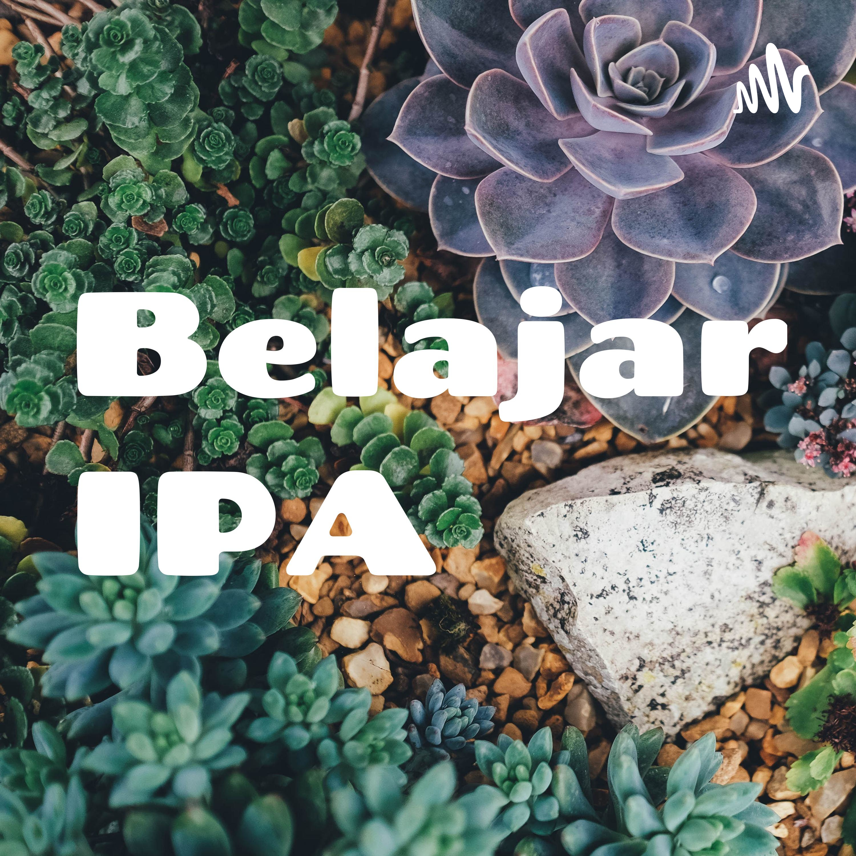 Belajar IPA cover art