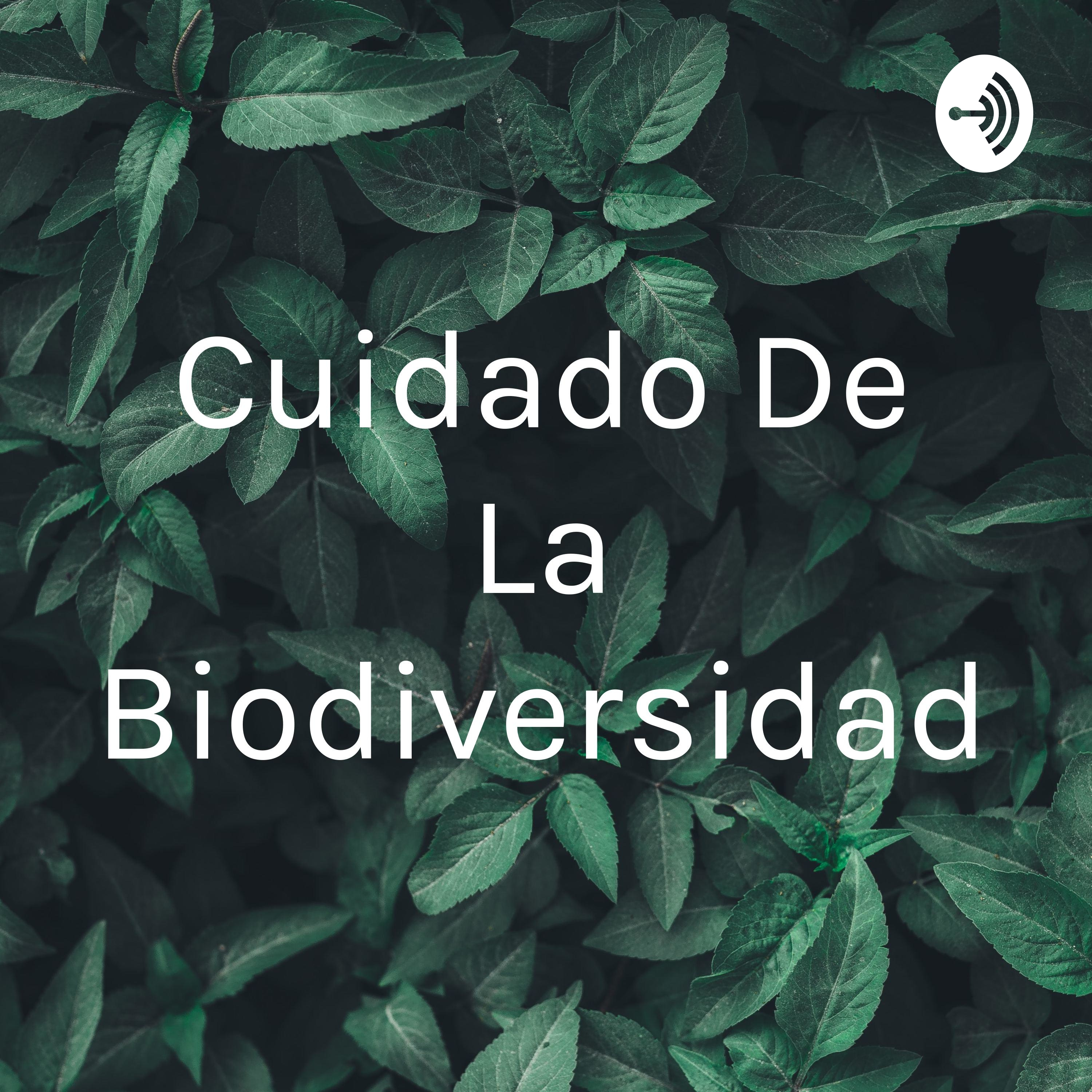 Cuidado De La Biodiversidad