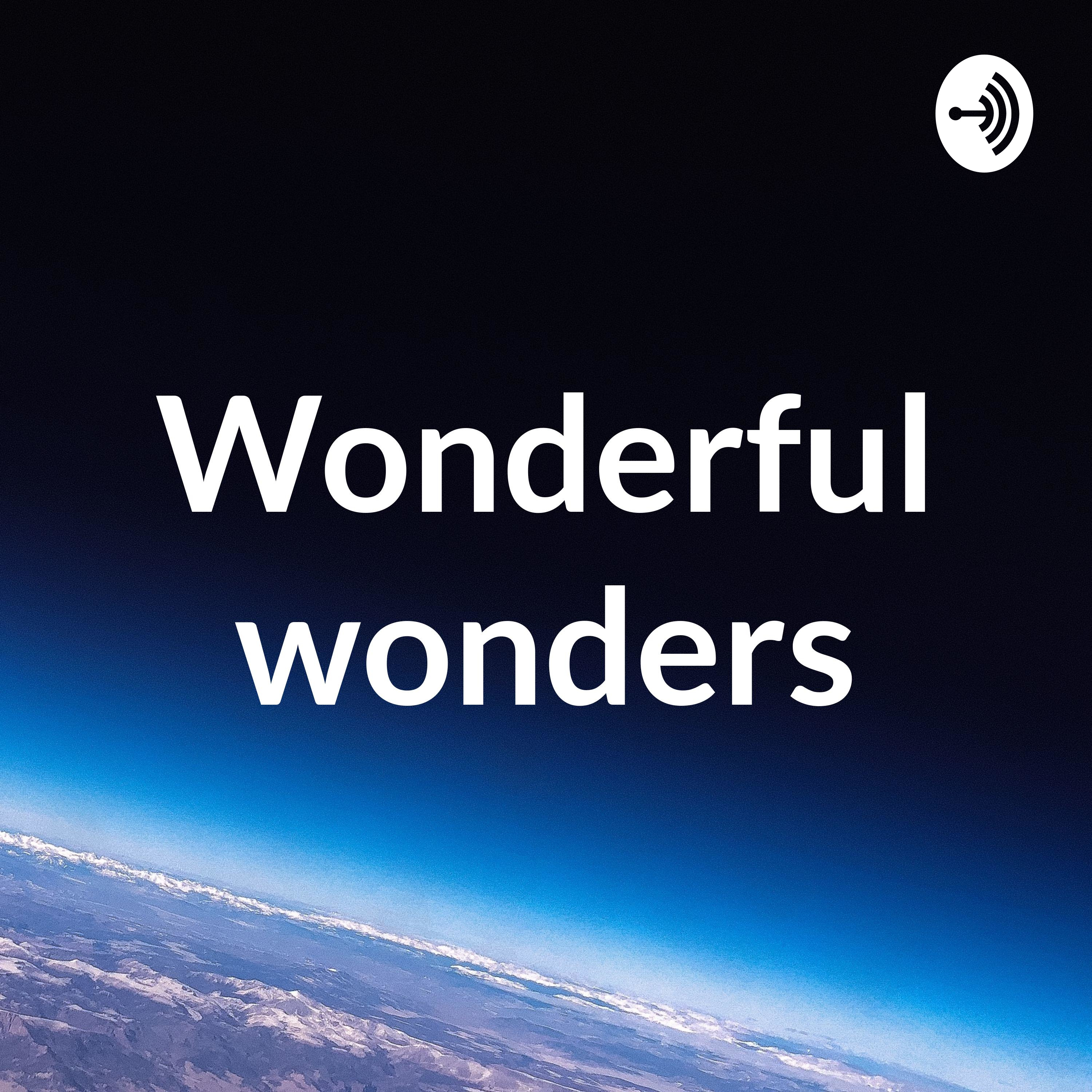 Wonderful wonders cover art