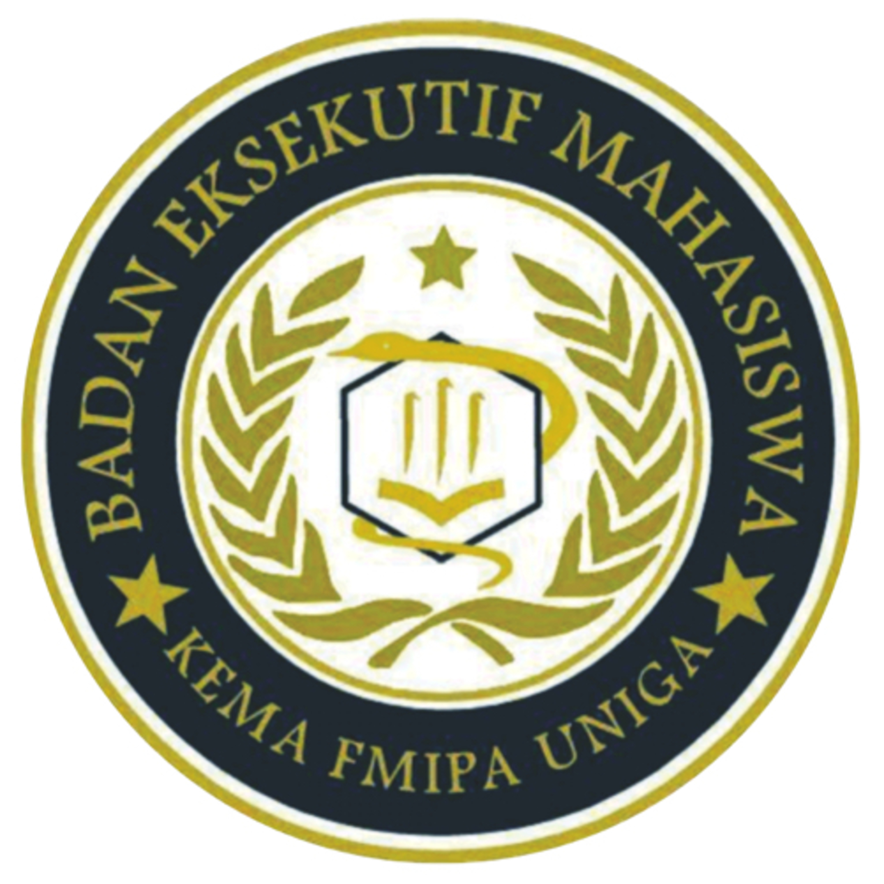 BEM KEMA FMIPA UNIGA cover art