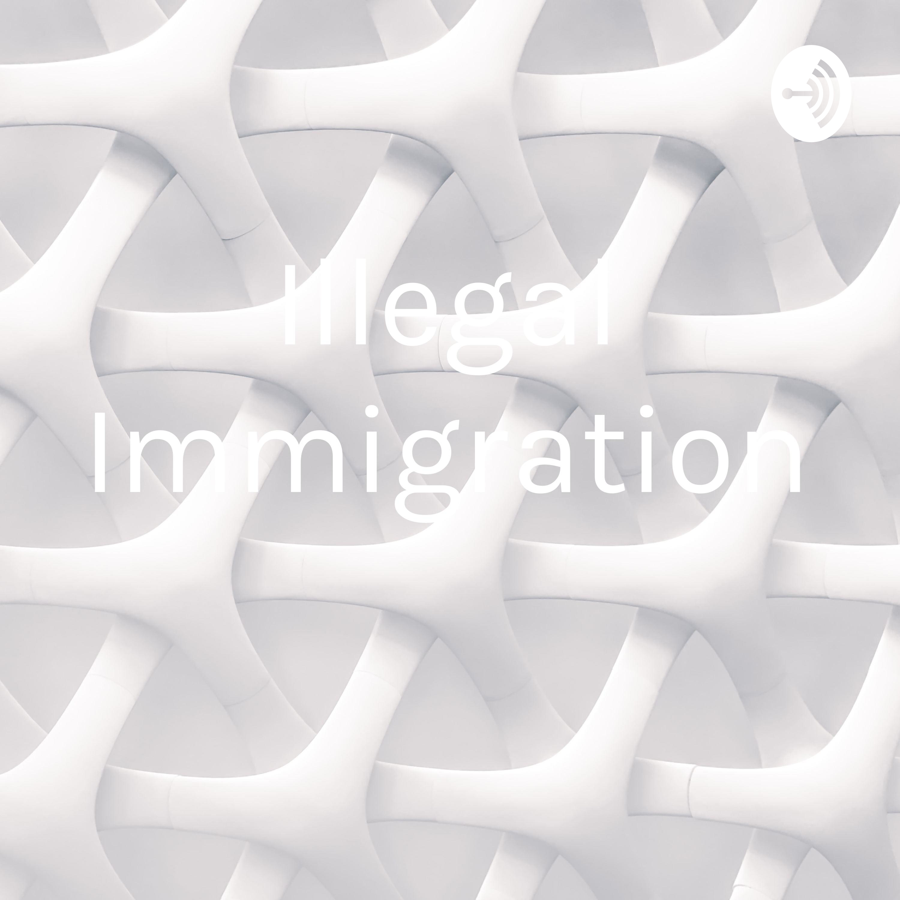 Illegal Immigration 