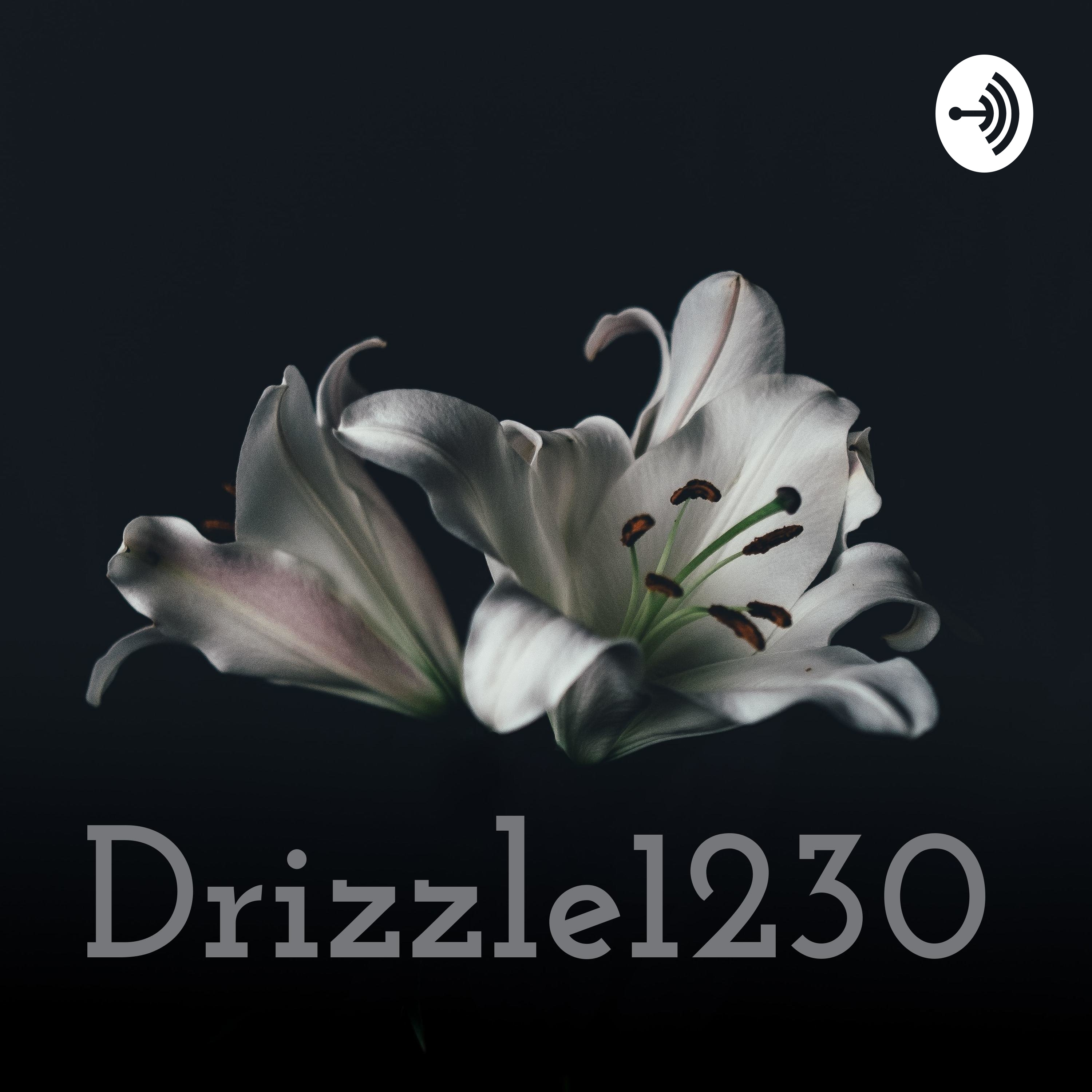 Drizzle1230 cover art