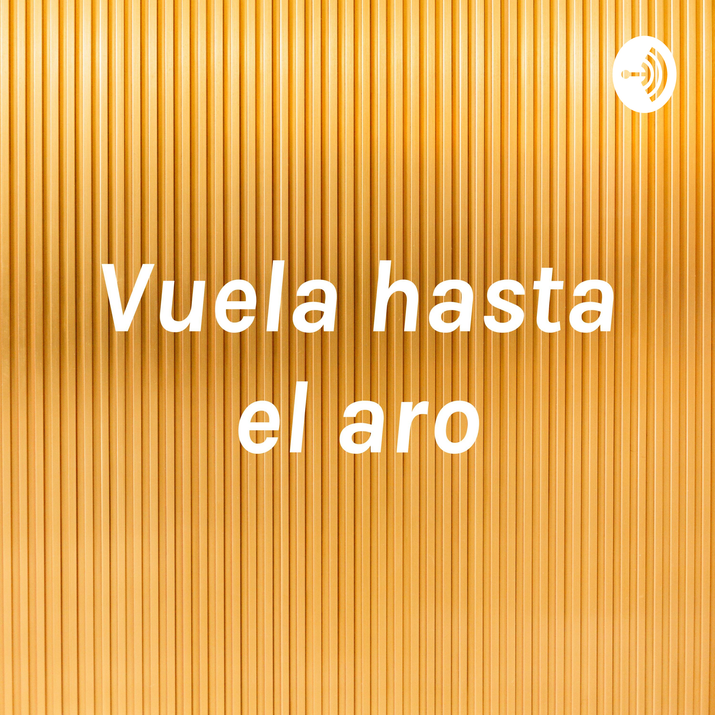 Vuela hasta el aro