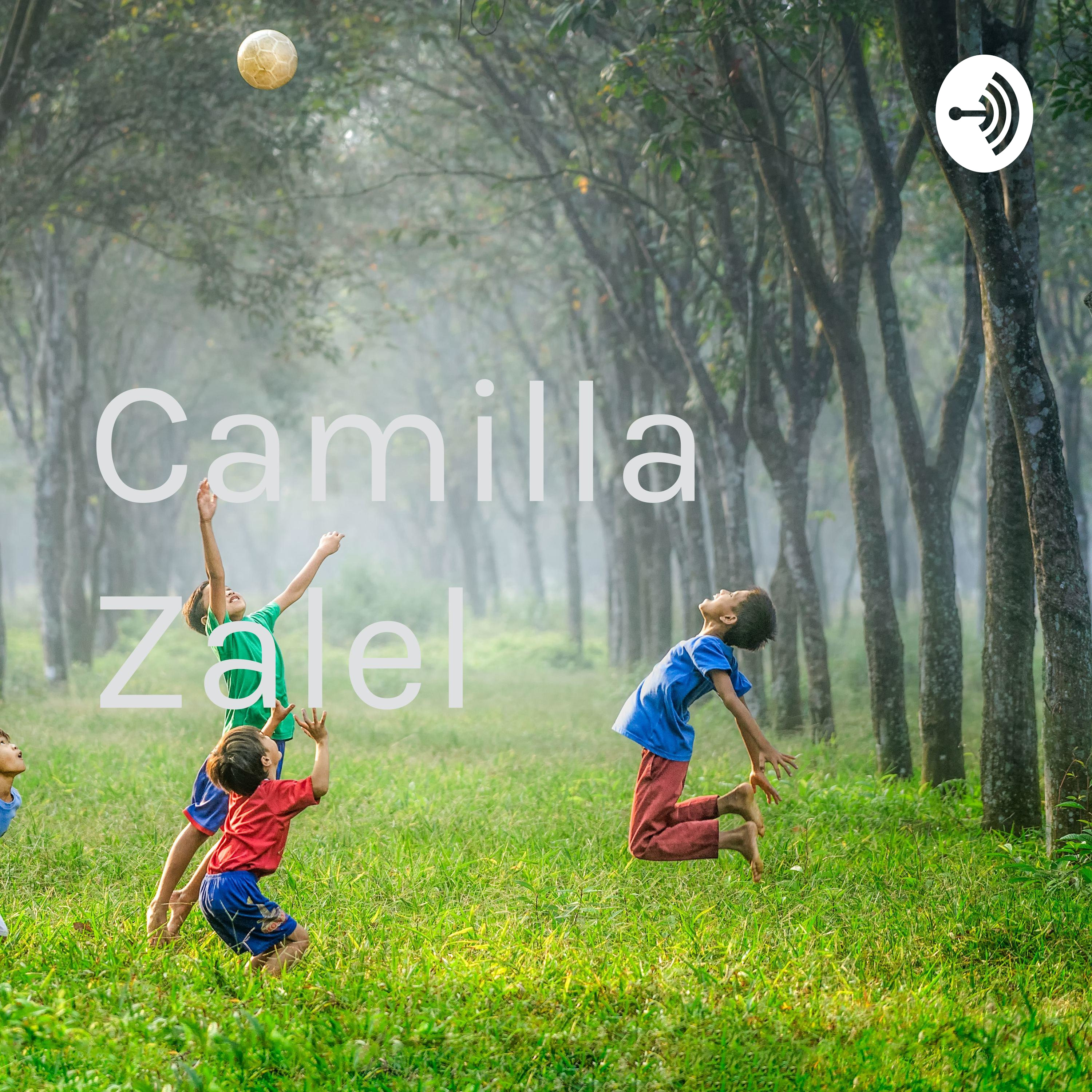 Camilla Zalel cover