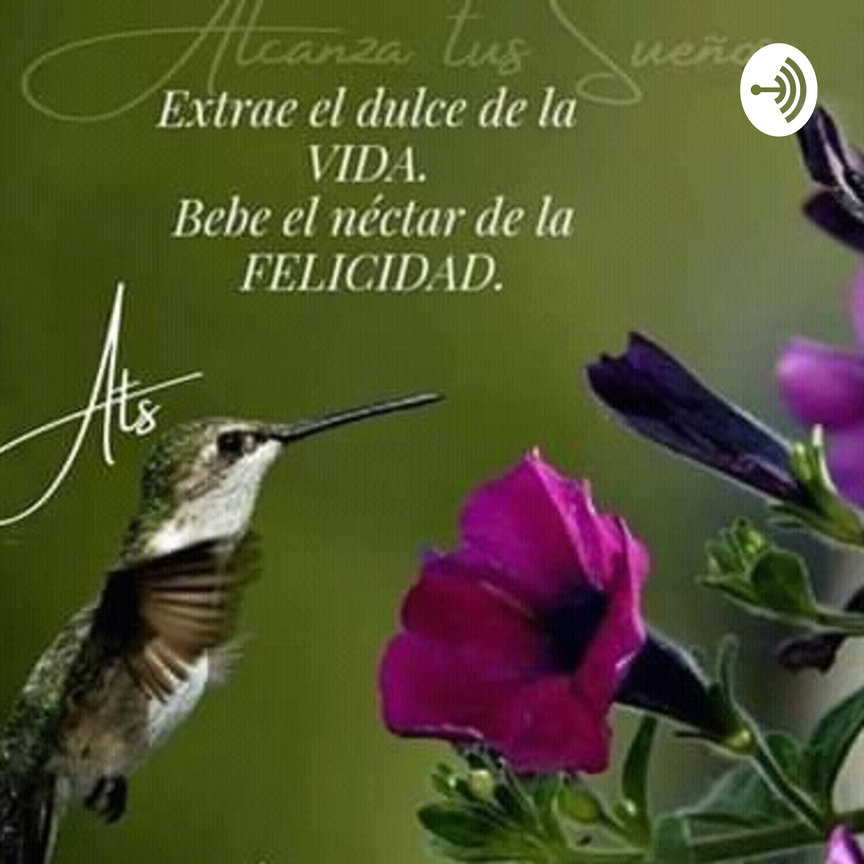 Inicio