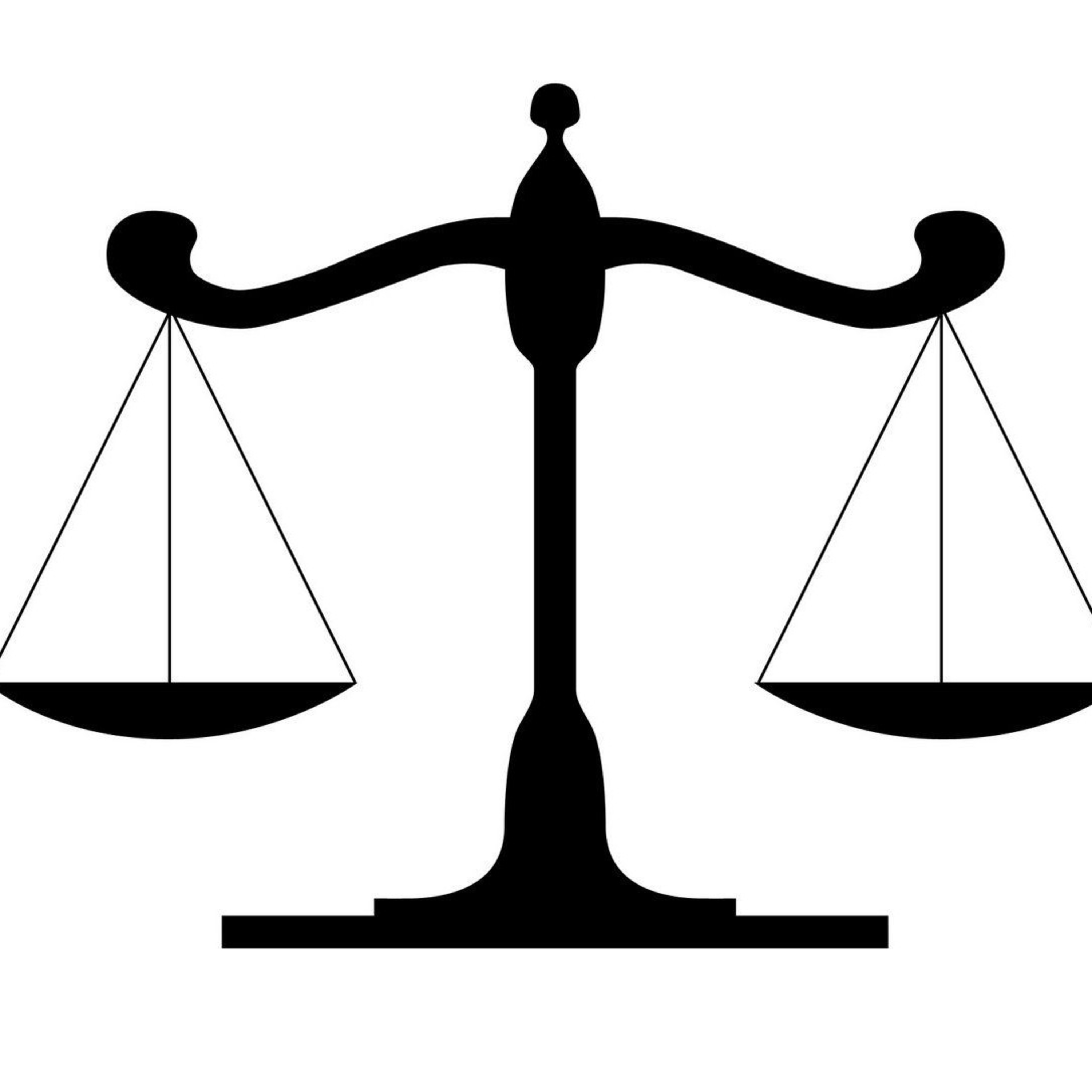 Segmento : Frenos Y Contrapesos 