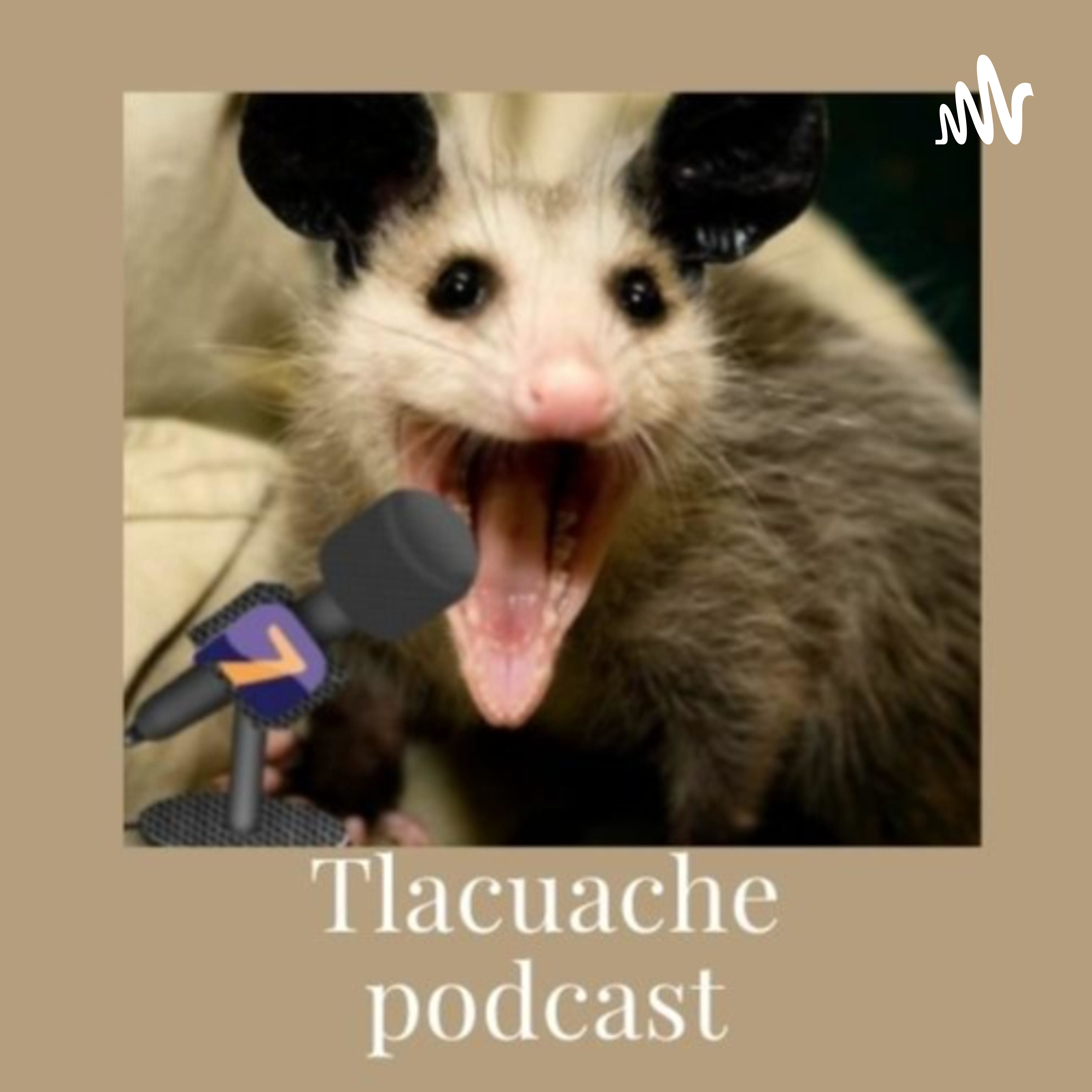 Tlacuache podcast podcast artwork