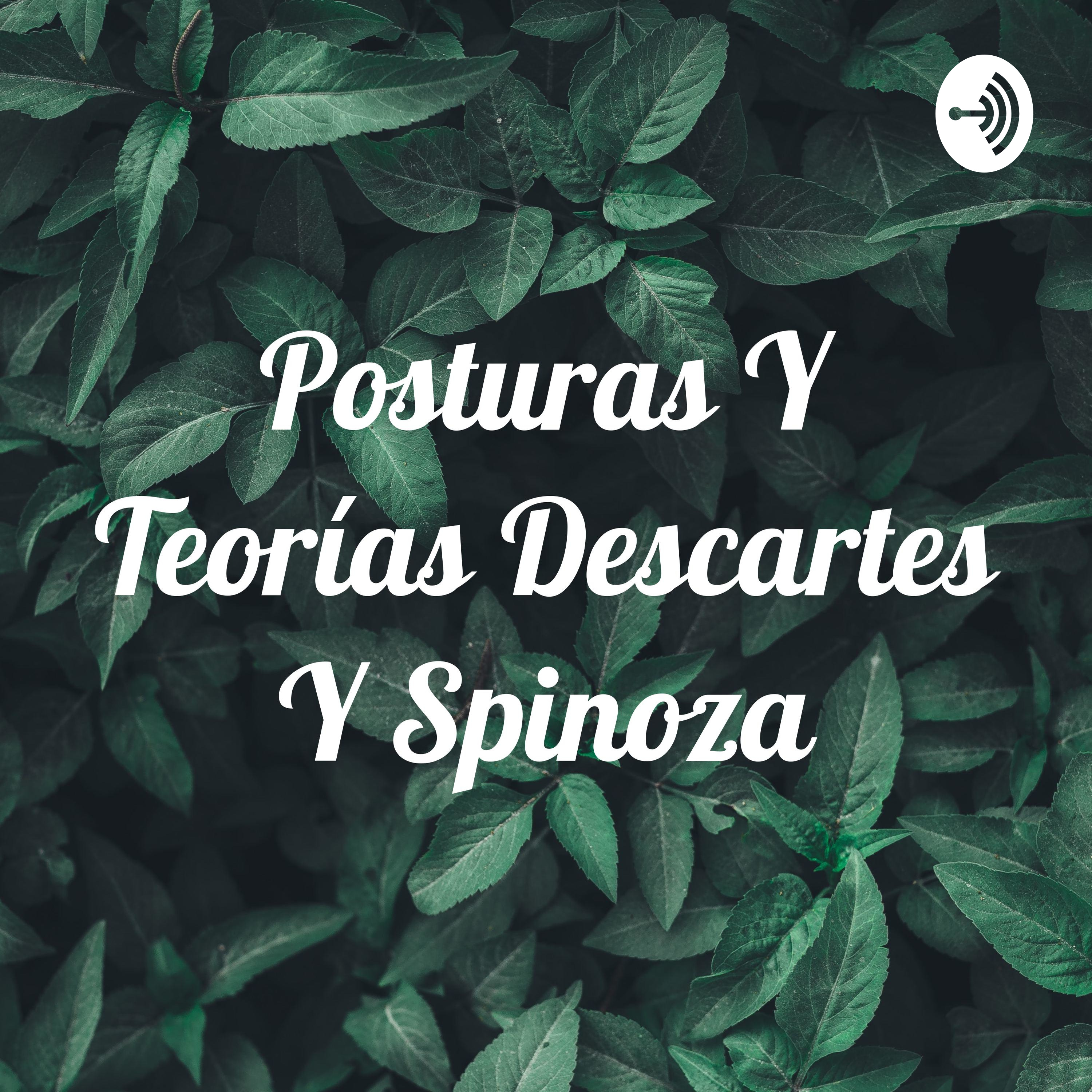 Posturas Y Teorías Descartes Y Spinoza