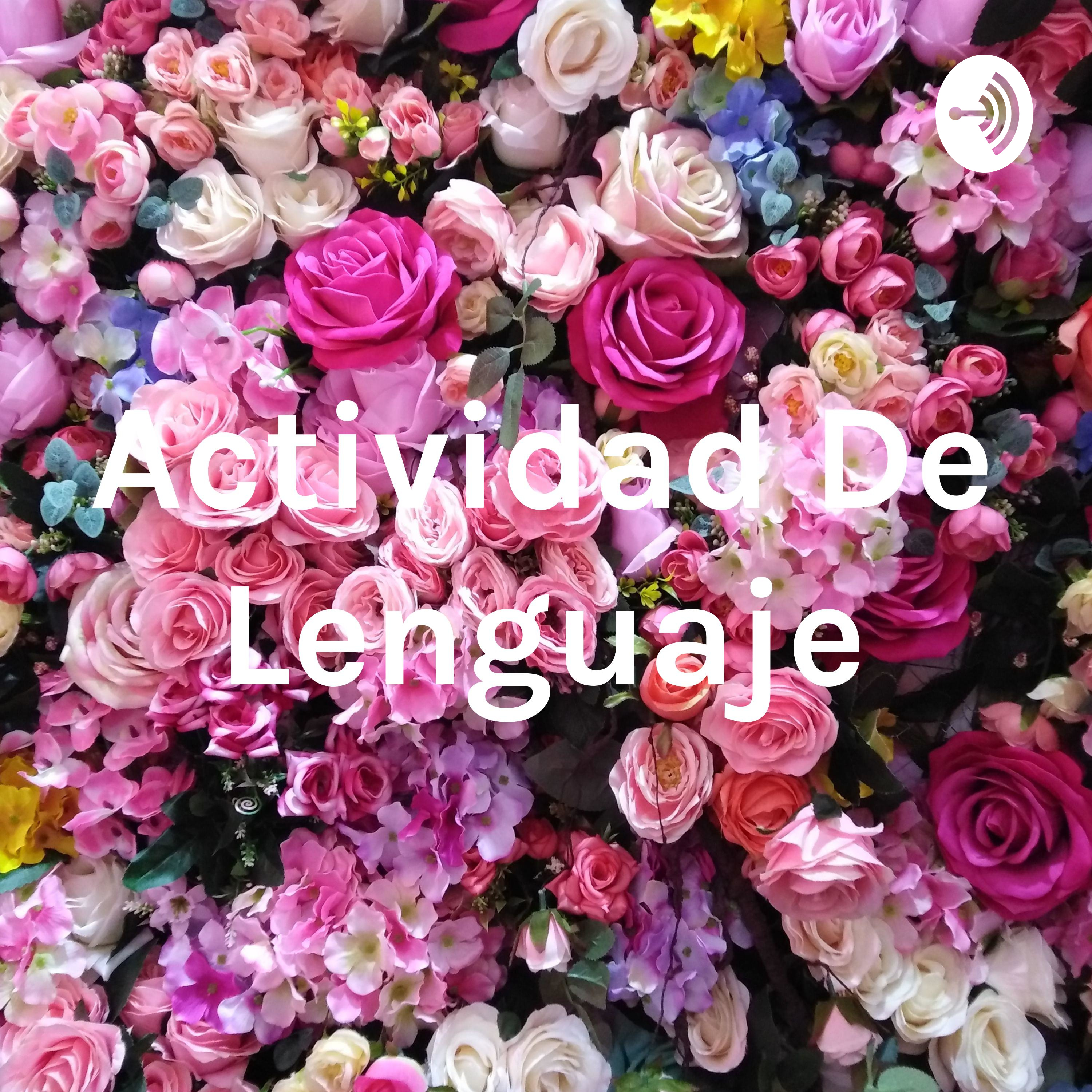 Actividad De Lenguaje