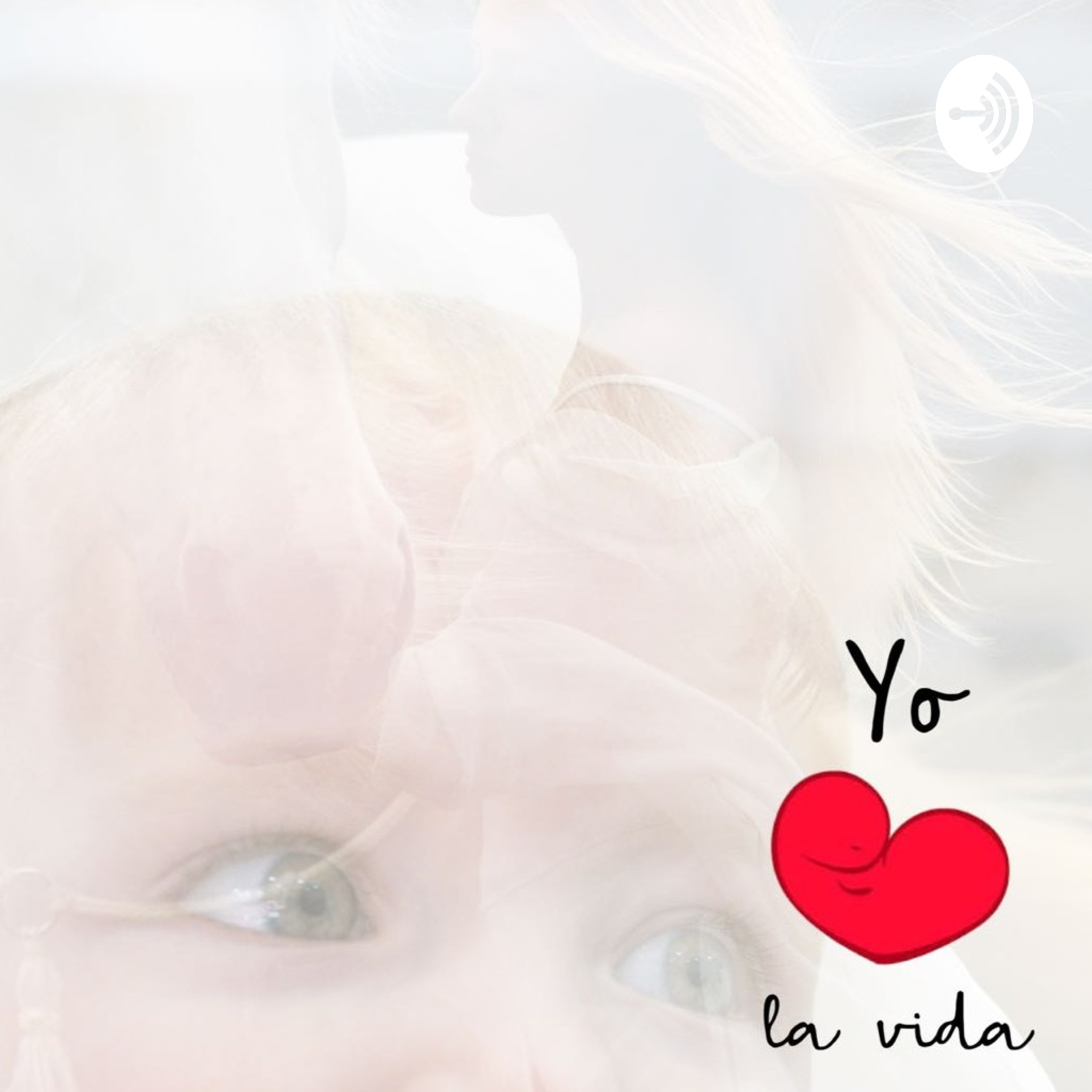 48 Días Provida 