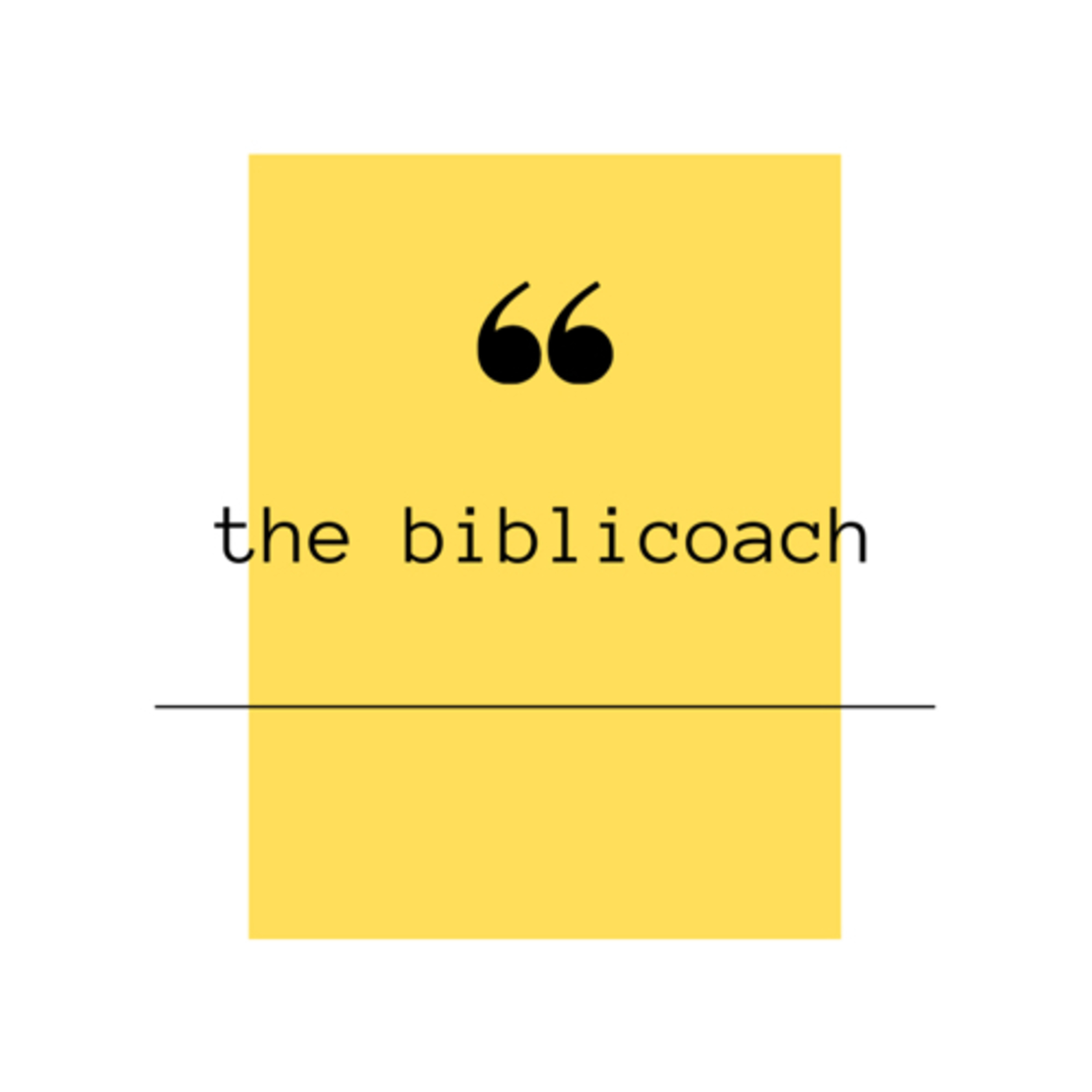 The Biblicoach