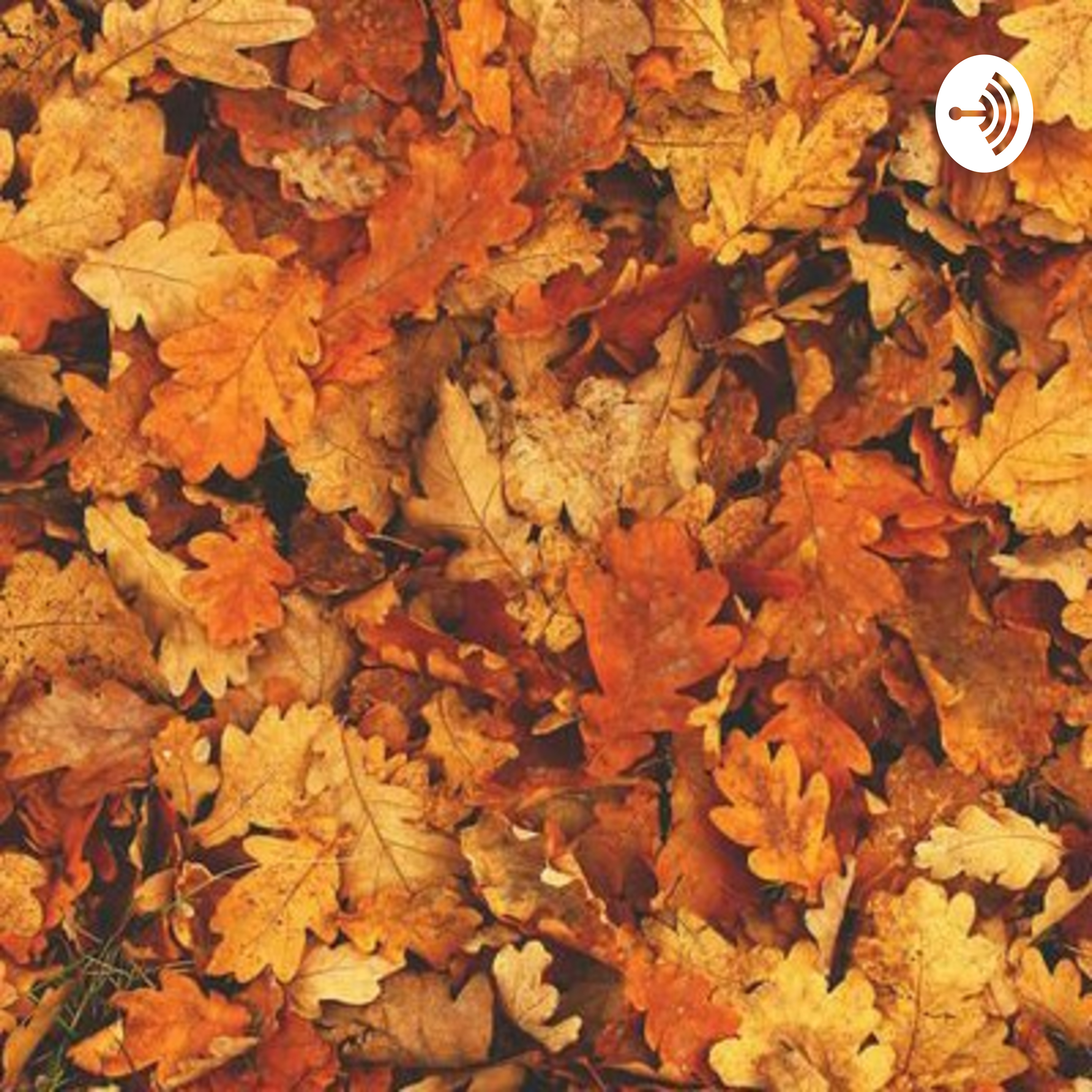 کاور ساعت بینهایت ؛ معلم