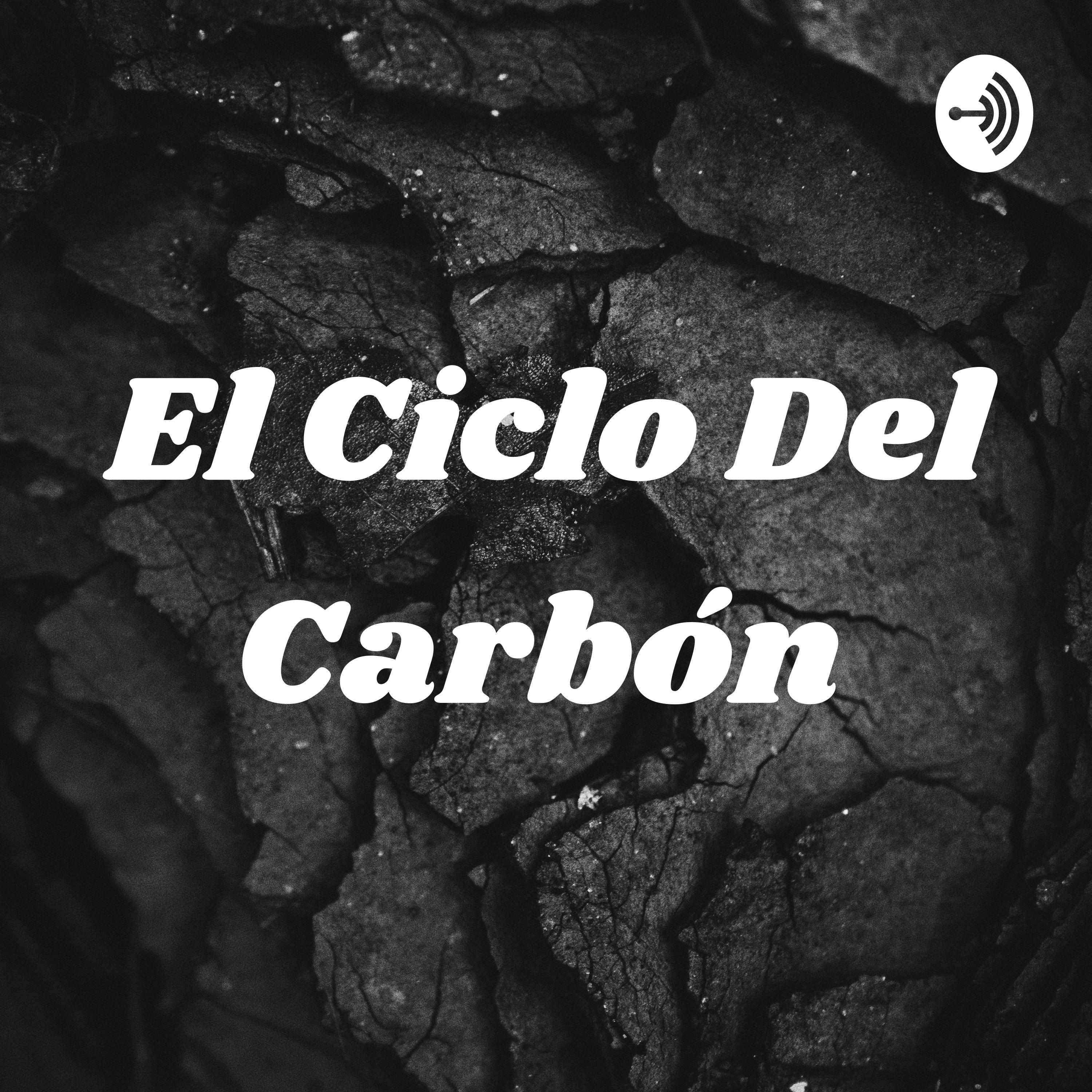 El Ciclo Del Carbón