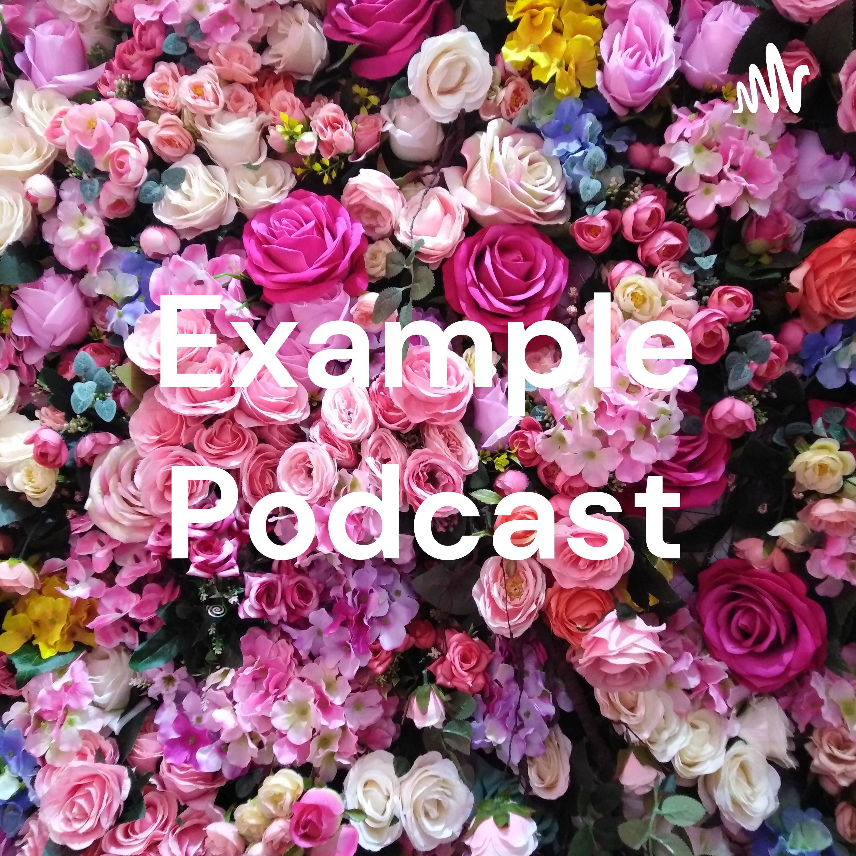 Example Podcast