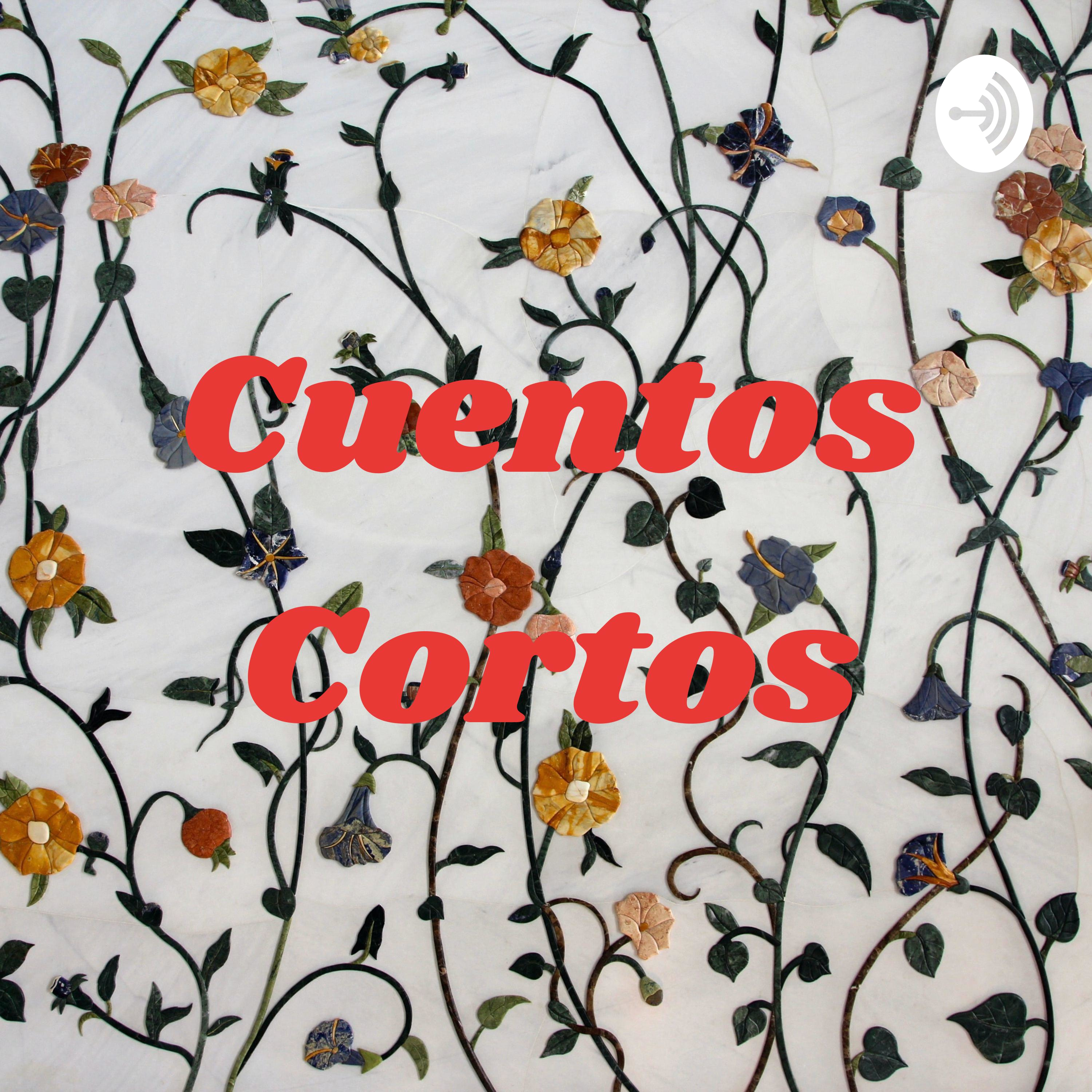 Cuentos Cortos