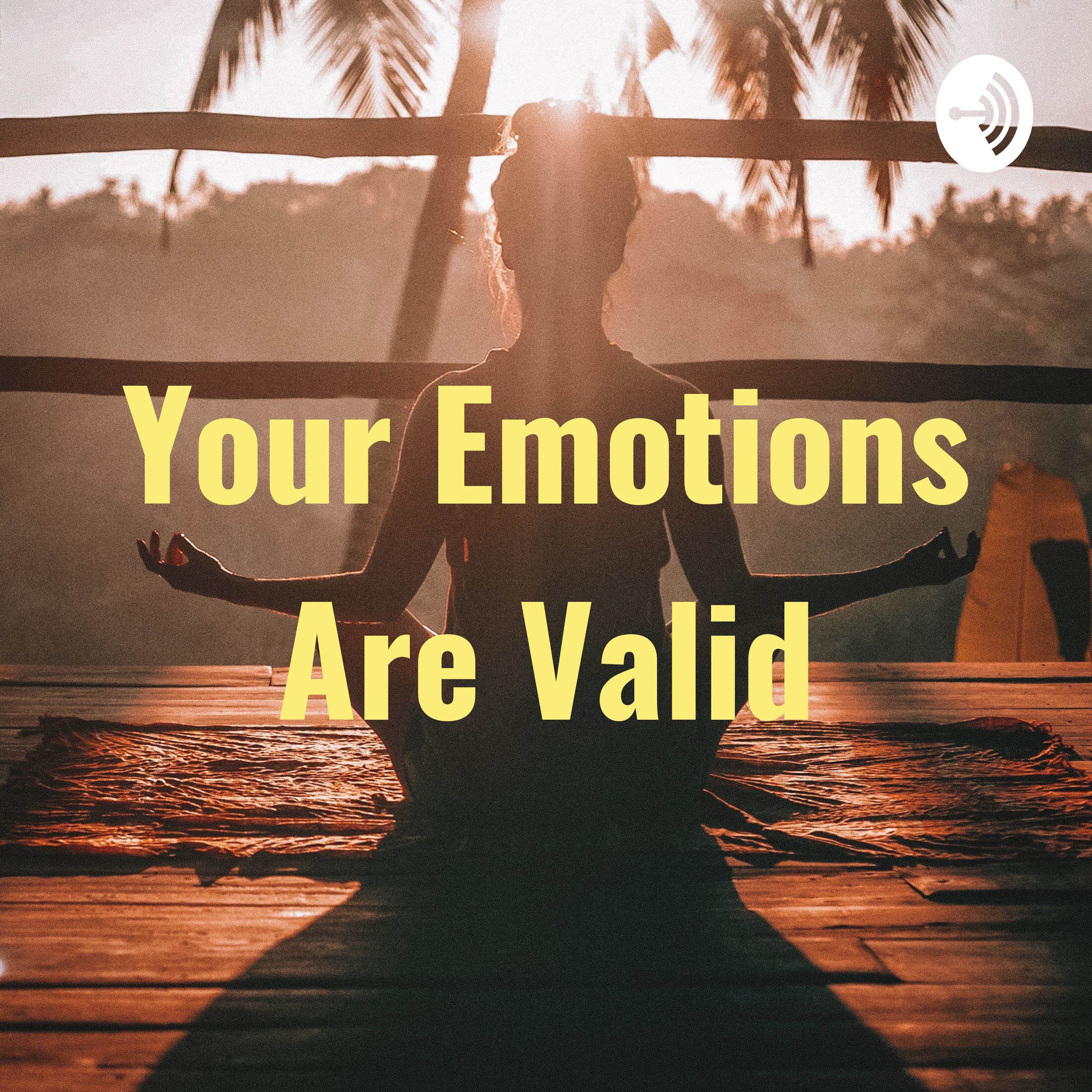  Your Emotions Are Valid