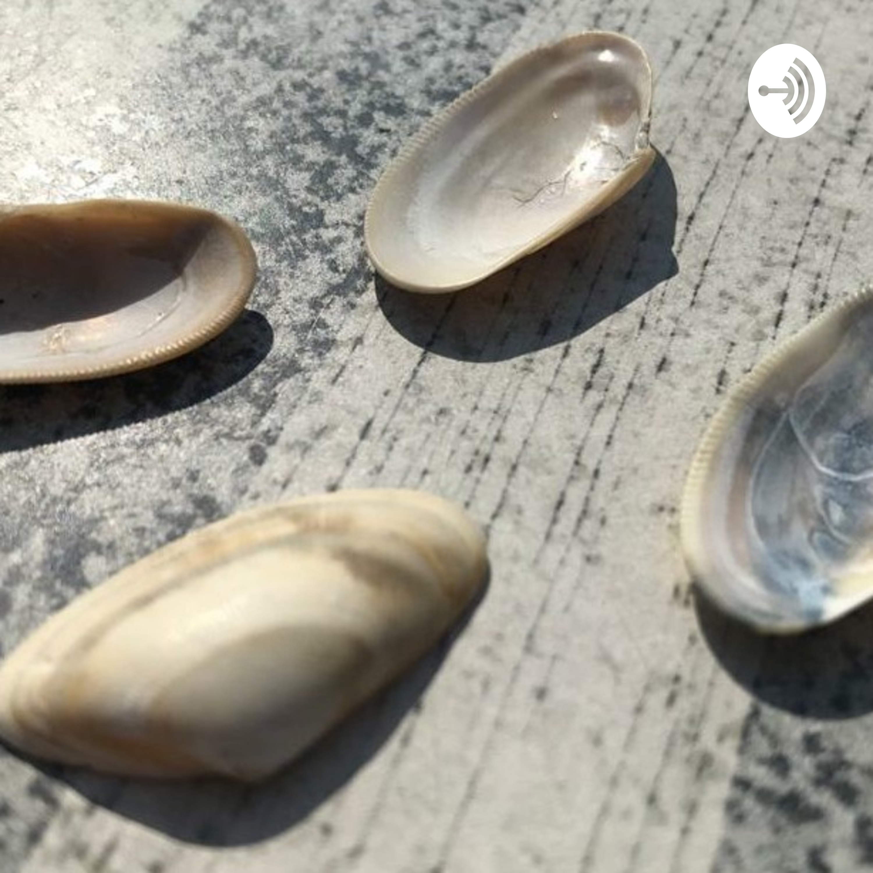 LEXUS af Alexander Verstraete