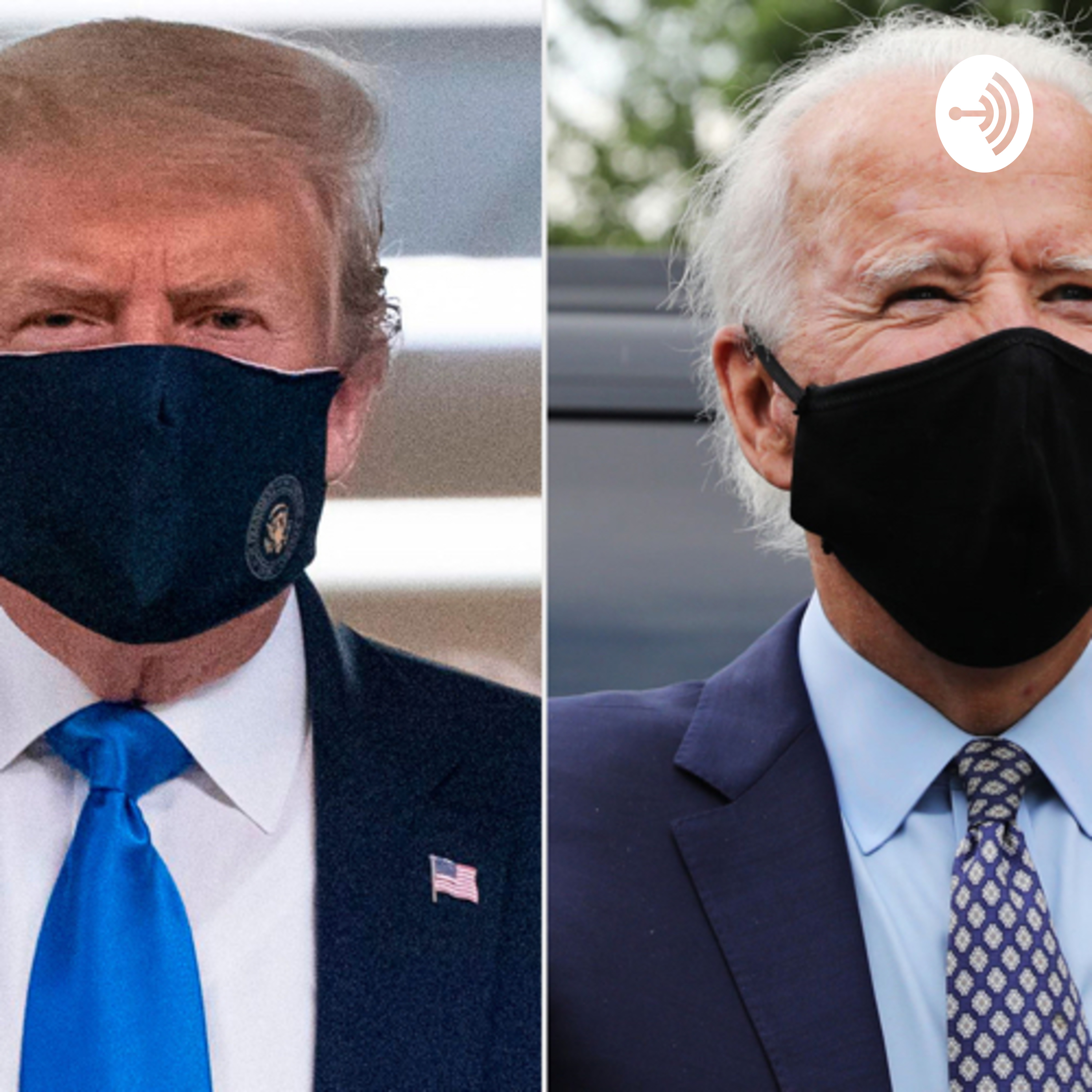 Politics Unmasked