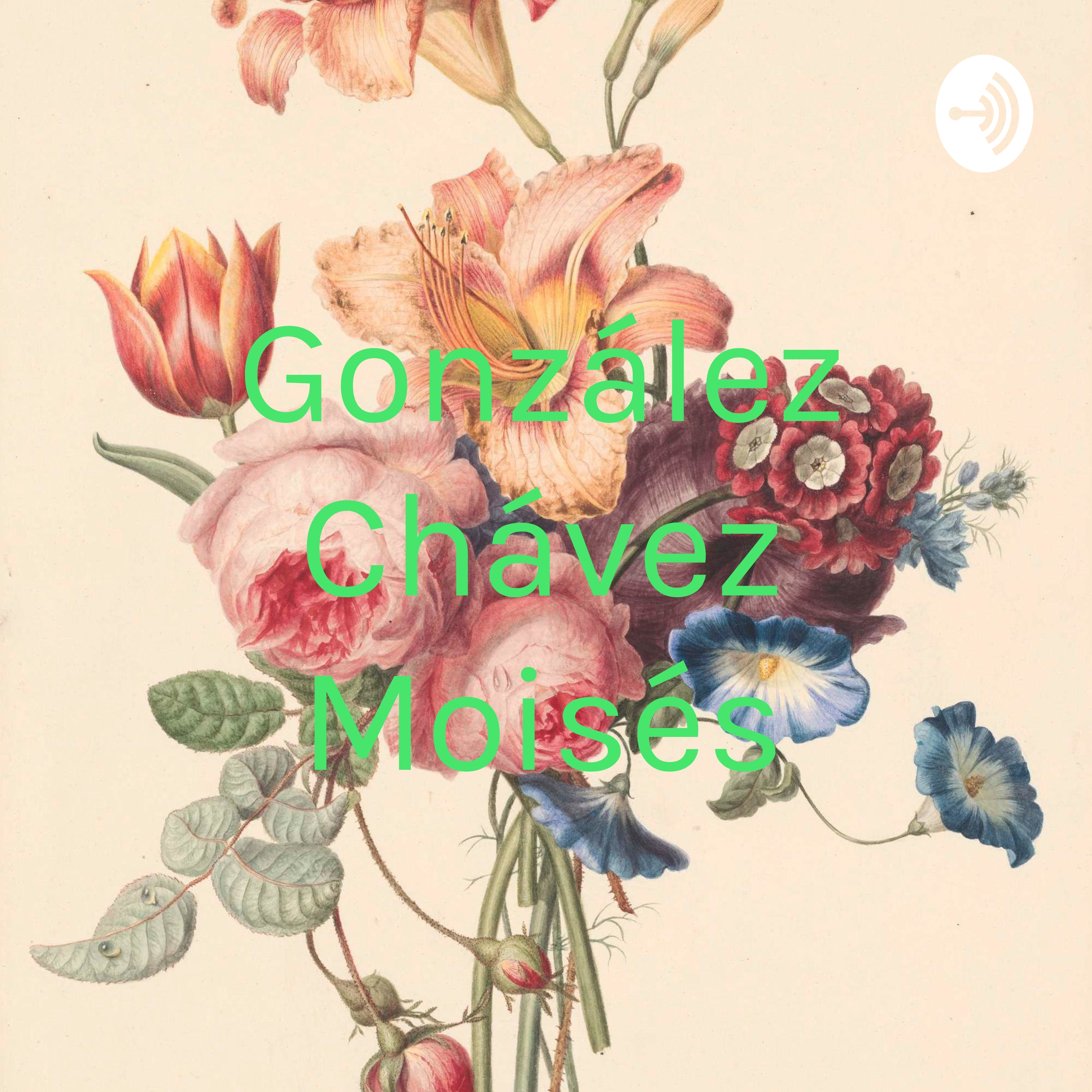 González Chávez Moisés 042705 