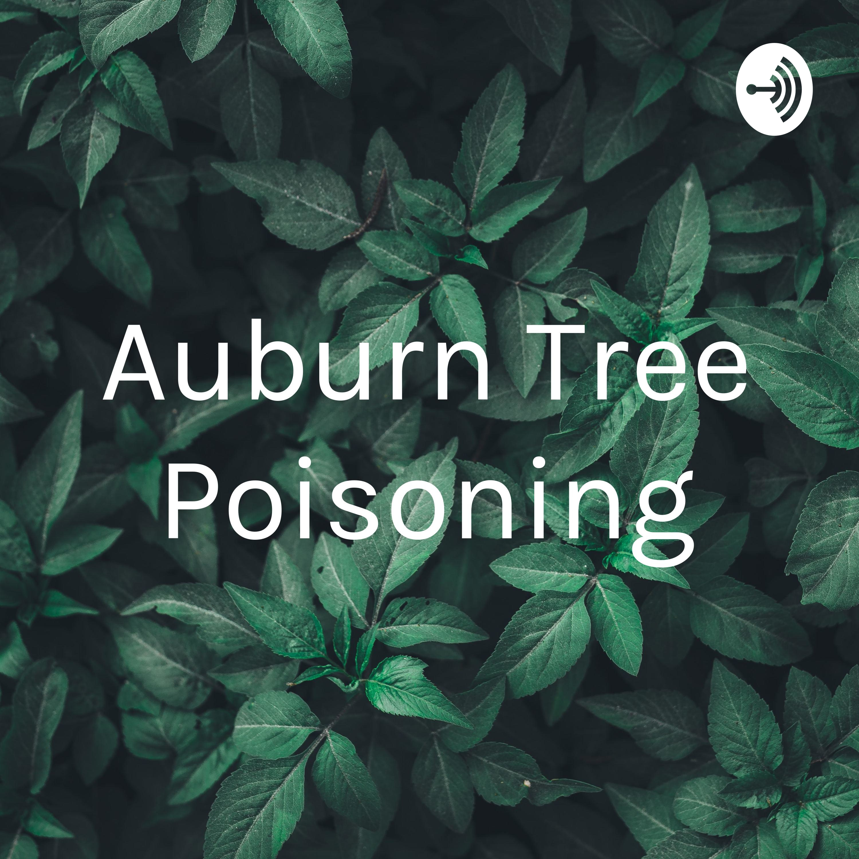 Auburn Tree Poisoning