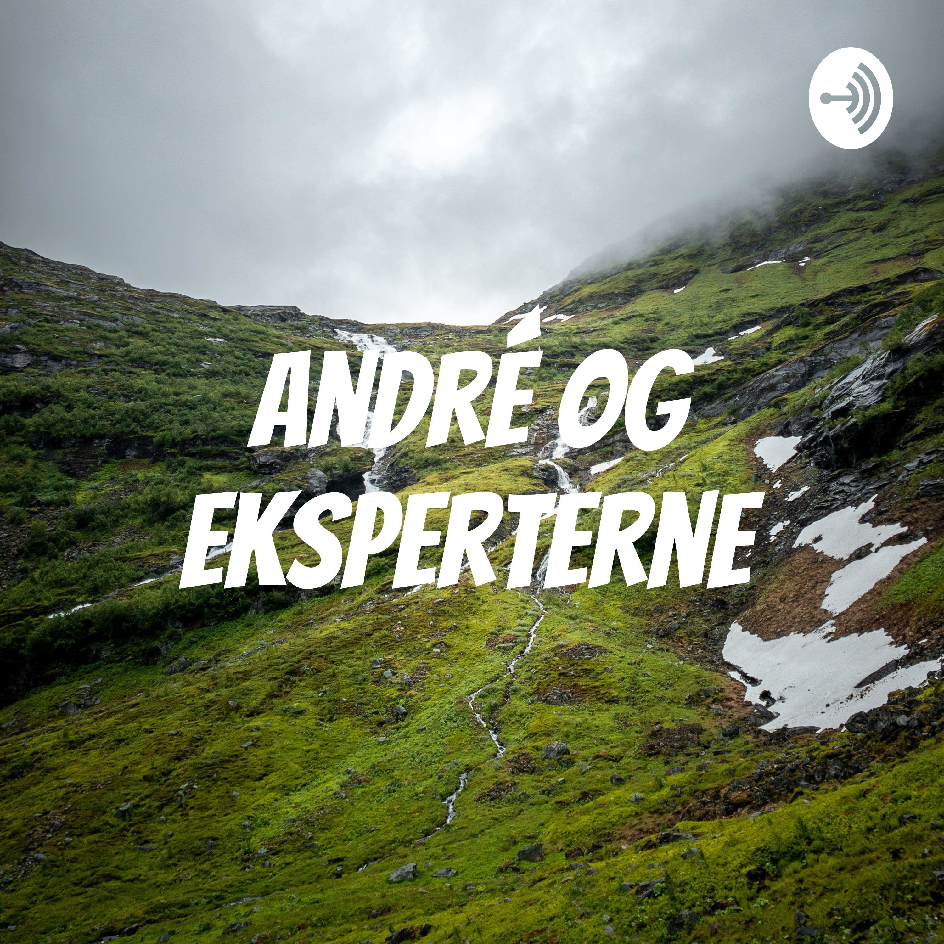 André og eksperterne af Mikkel Nielsen