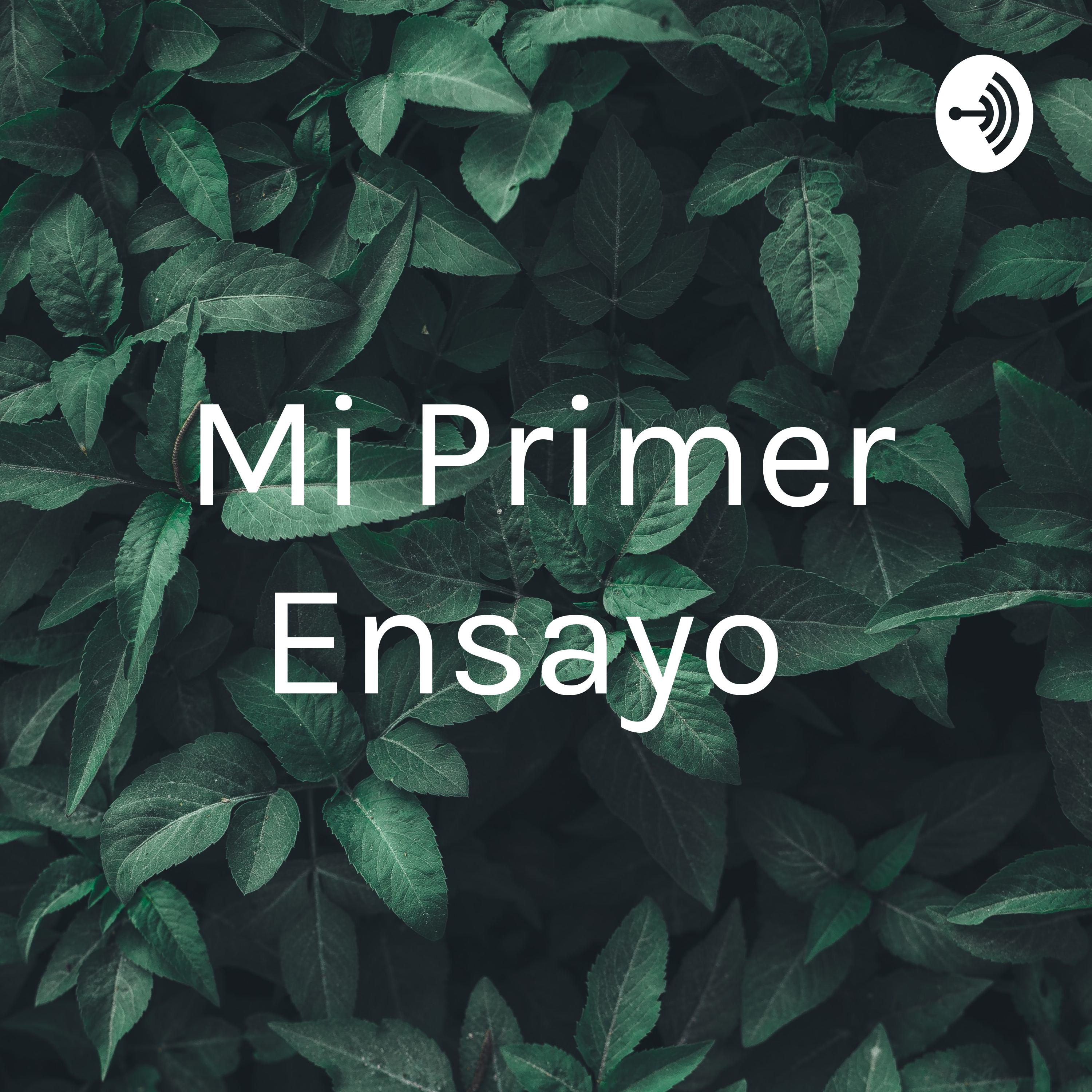 Mi Primer Ensayo 