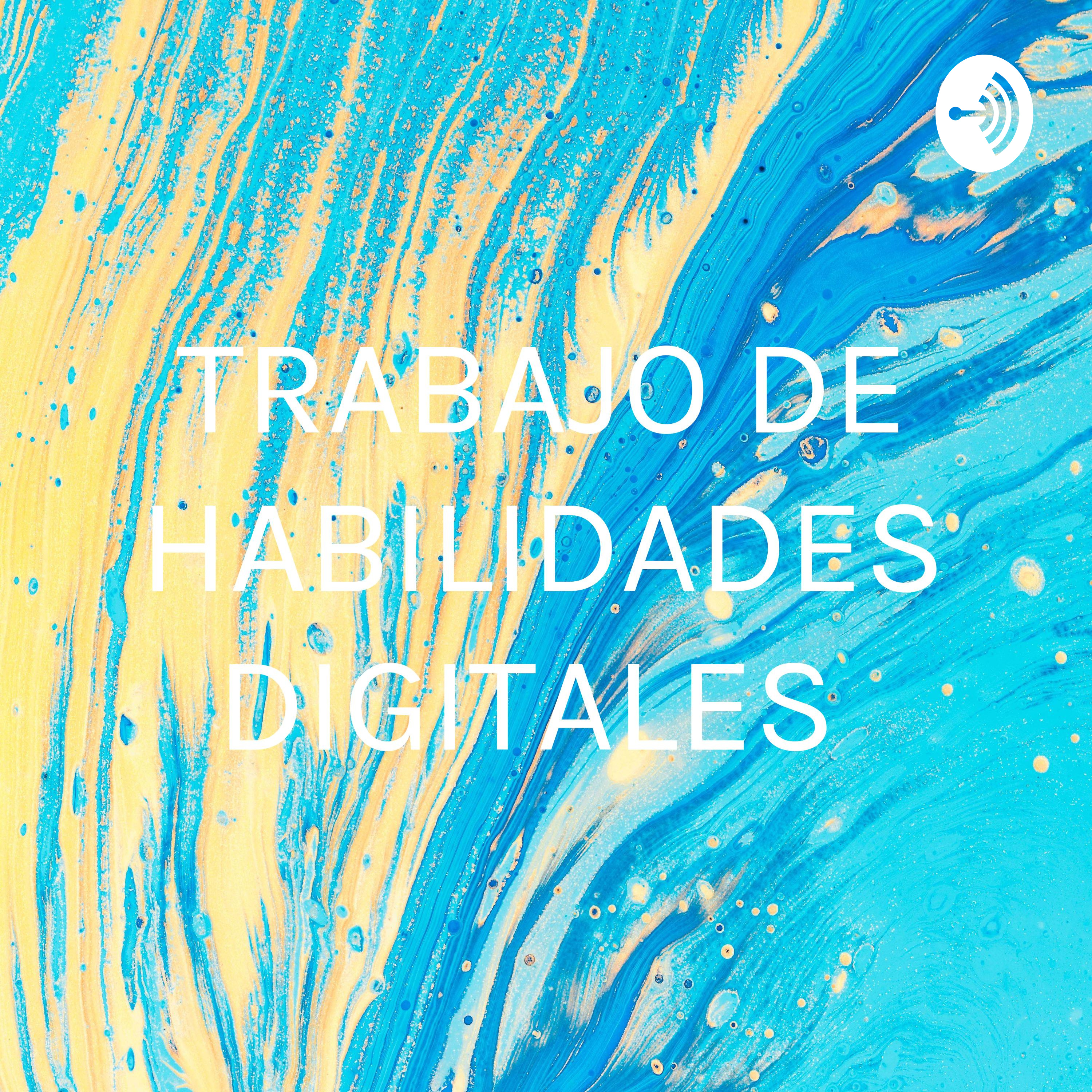 TRABAJO DE HABILIDADES DIGITALES