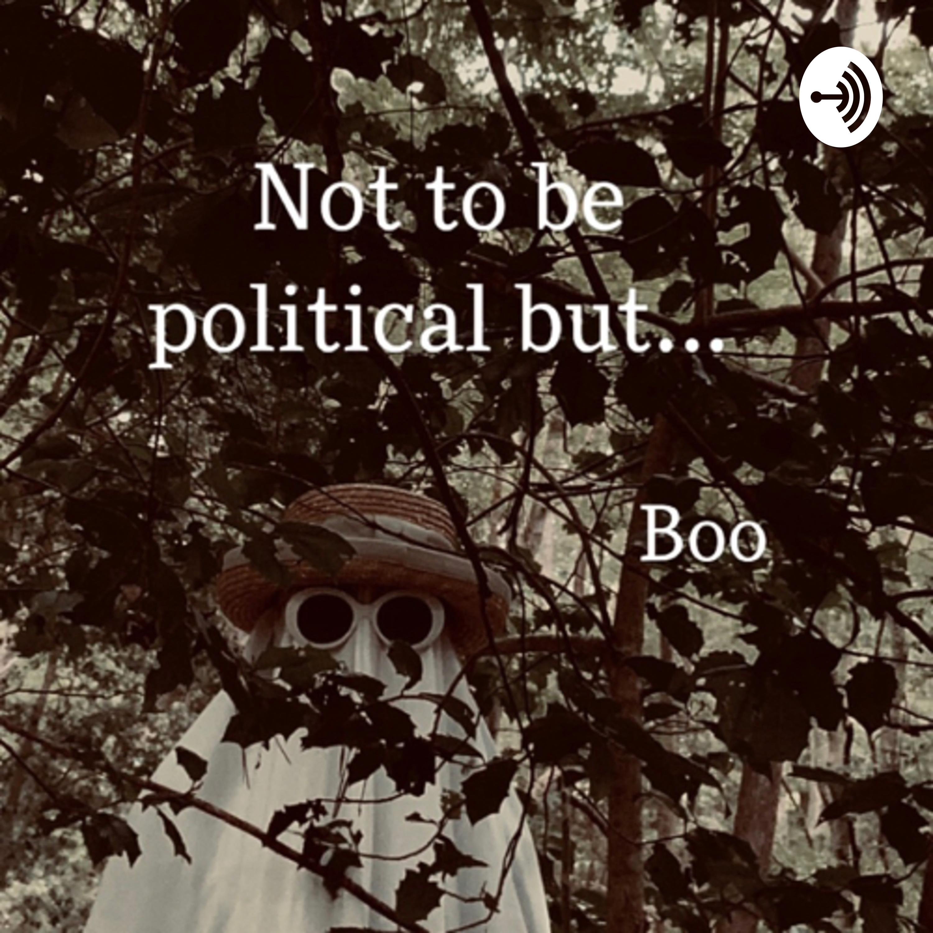 Not to be political but....